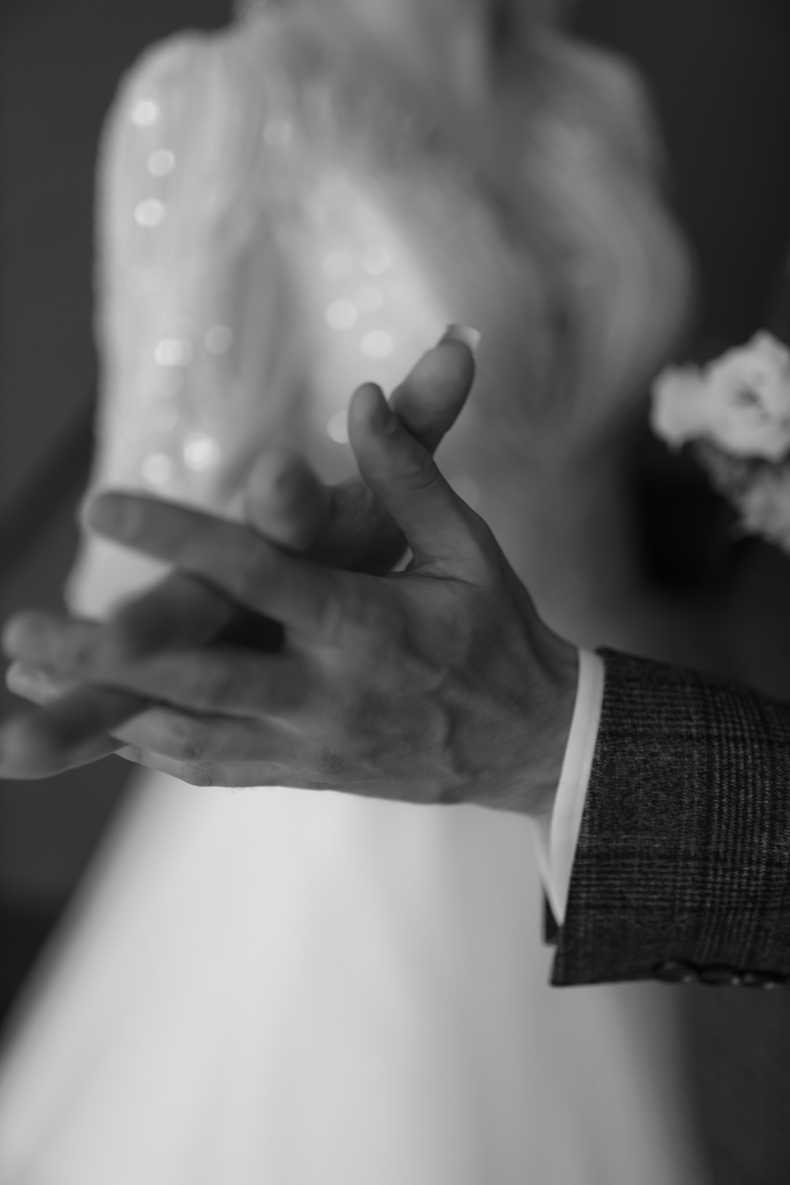 V&D. Фотограф Катерина Самойлова Волгоградская область Михайловка