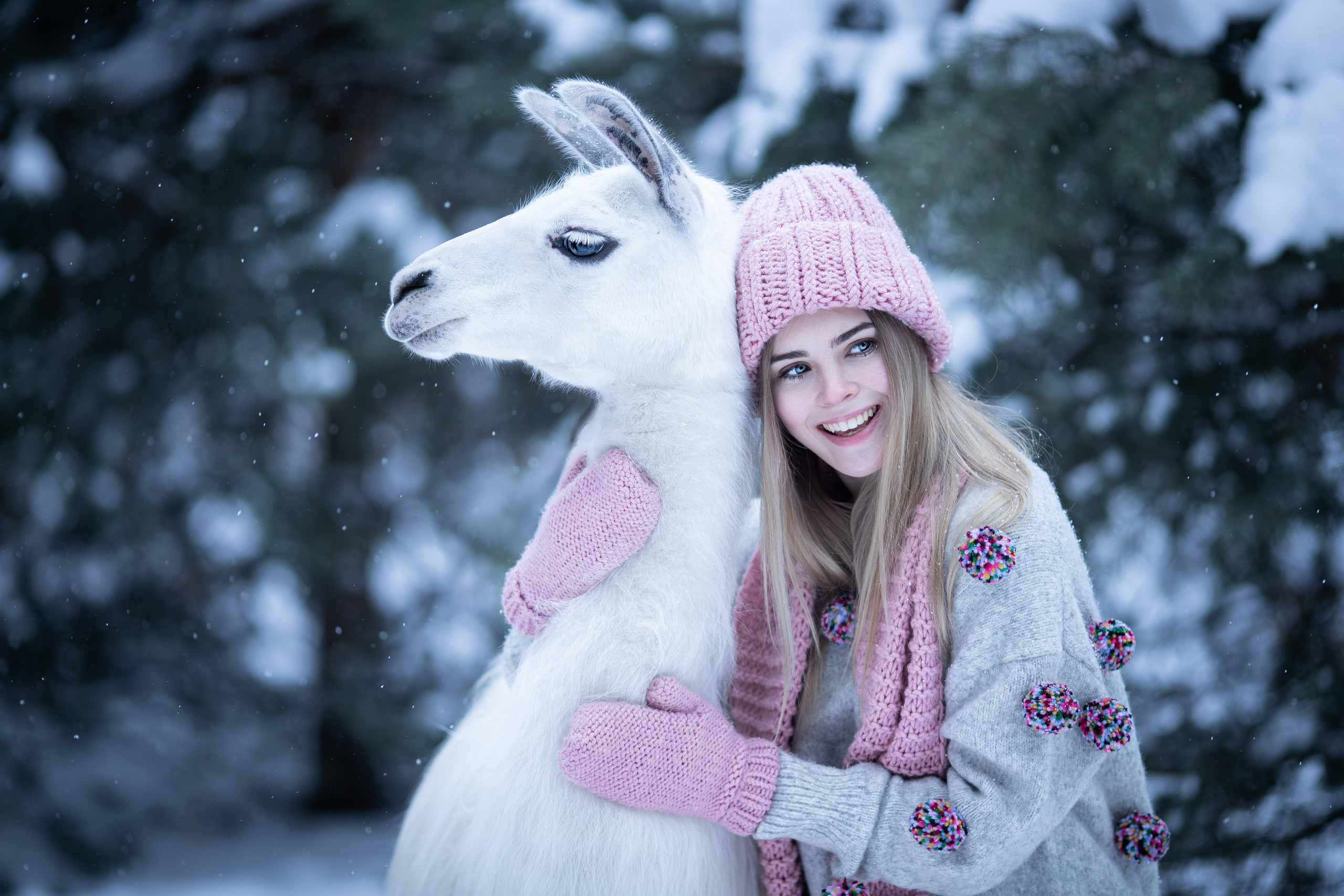 Фотосессия с ламой