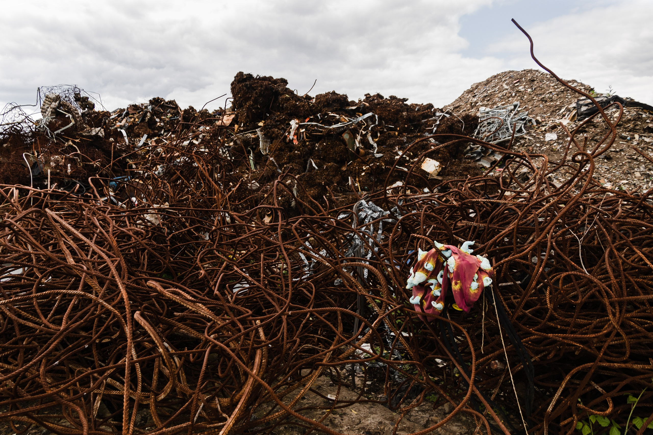 Открытый мир. DASHA KALNINA