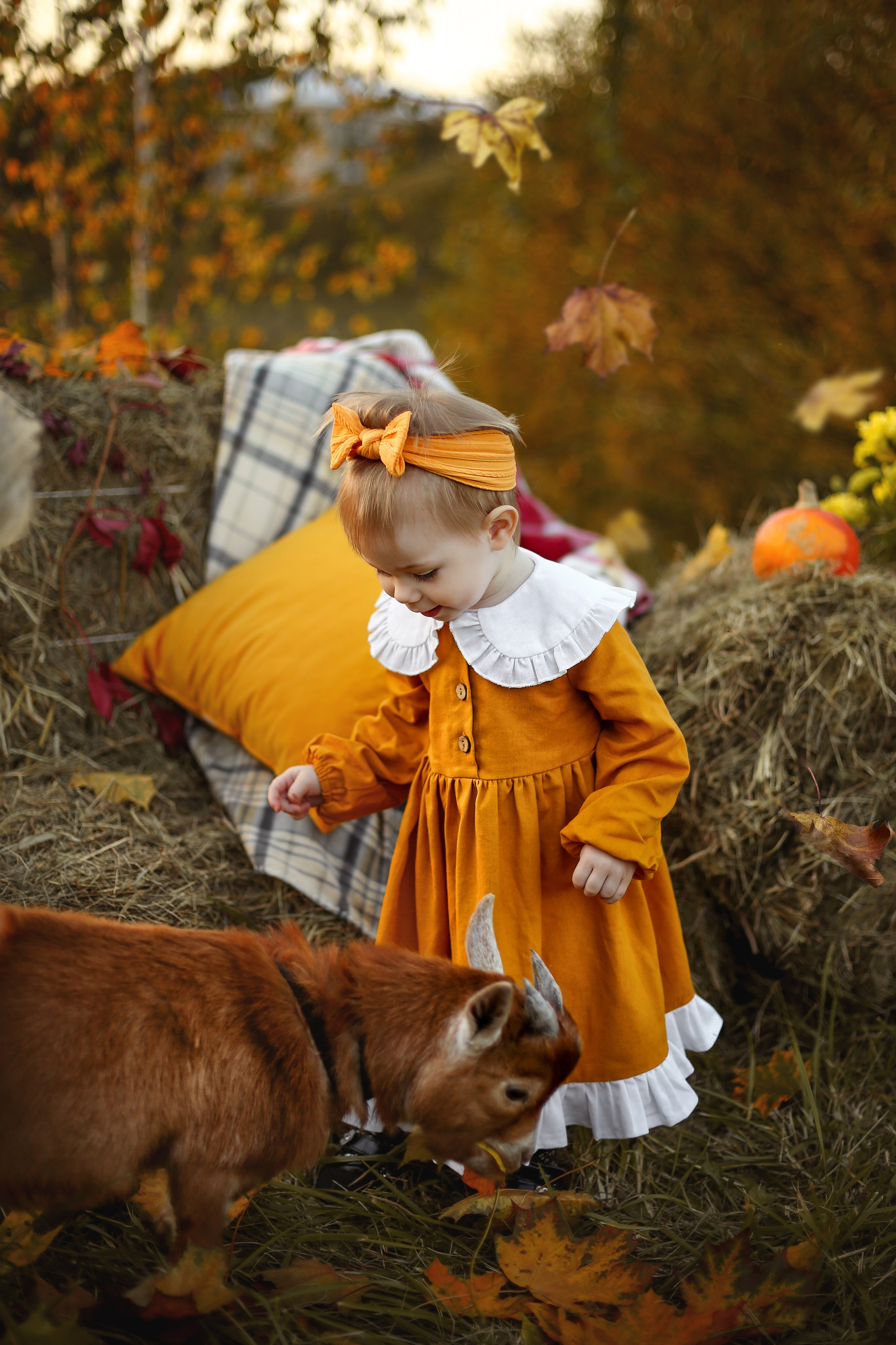 Осенний пикник с кроликом. Фотограф Ульянкина Мария
