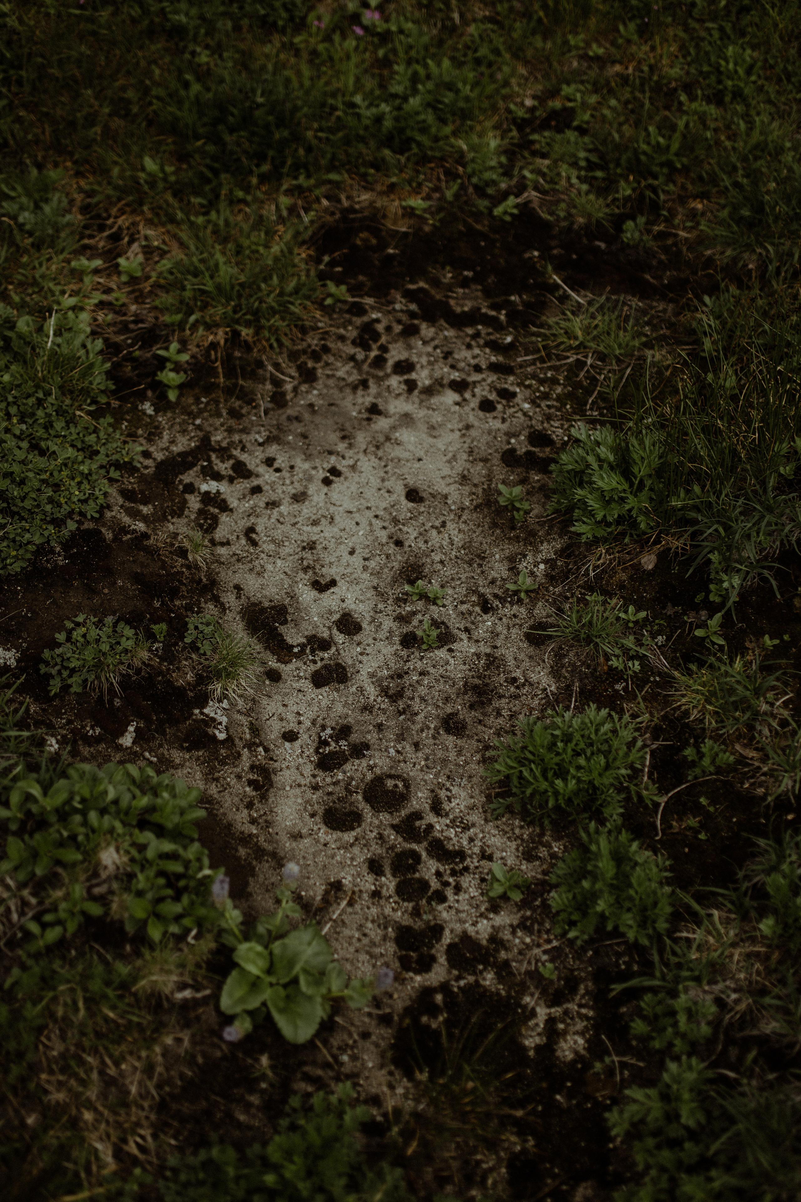 Кальдера Горелый. Свадебное фото и видео на Камчатке. Туристические маршруты