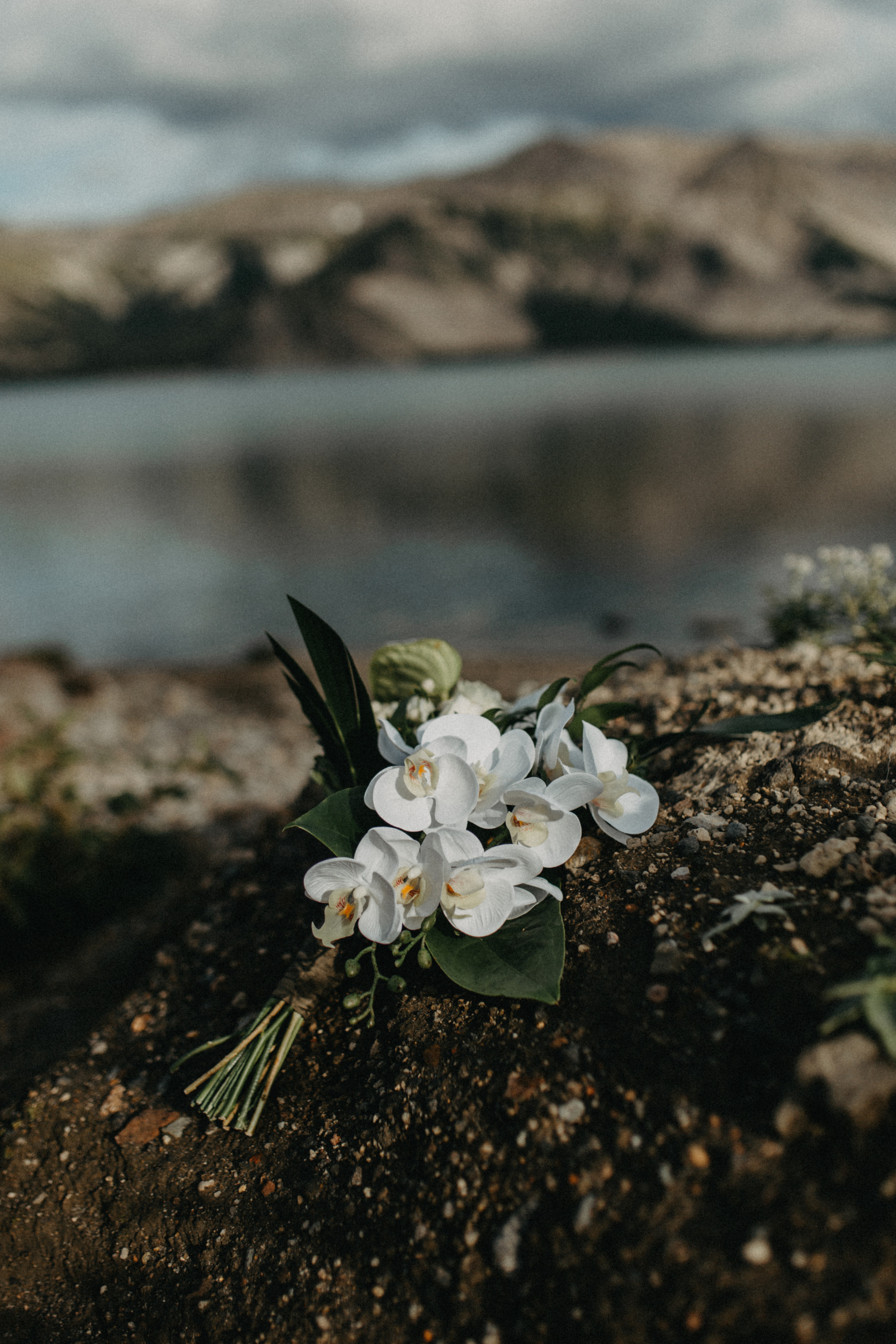 Вулкан Ксудач. Свадьба Богдана и Лизы. Свадебное фото и видео на Камчатке. Туристические маршруты