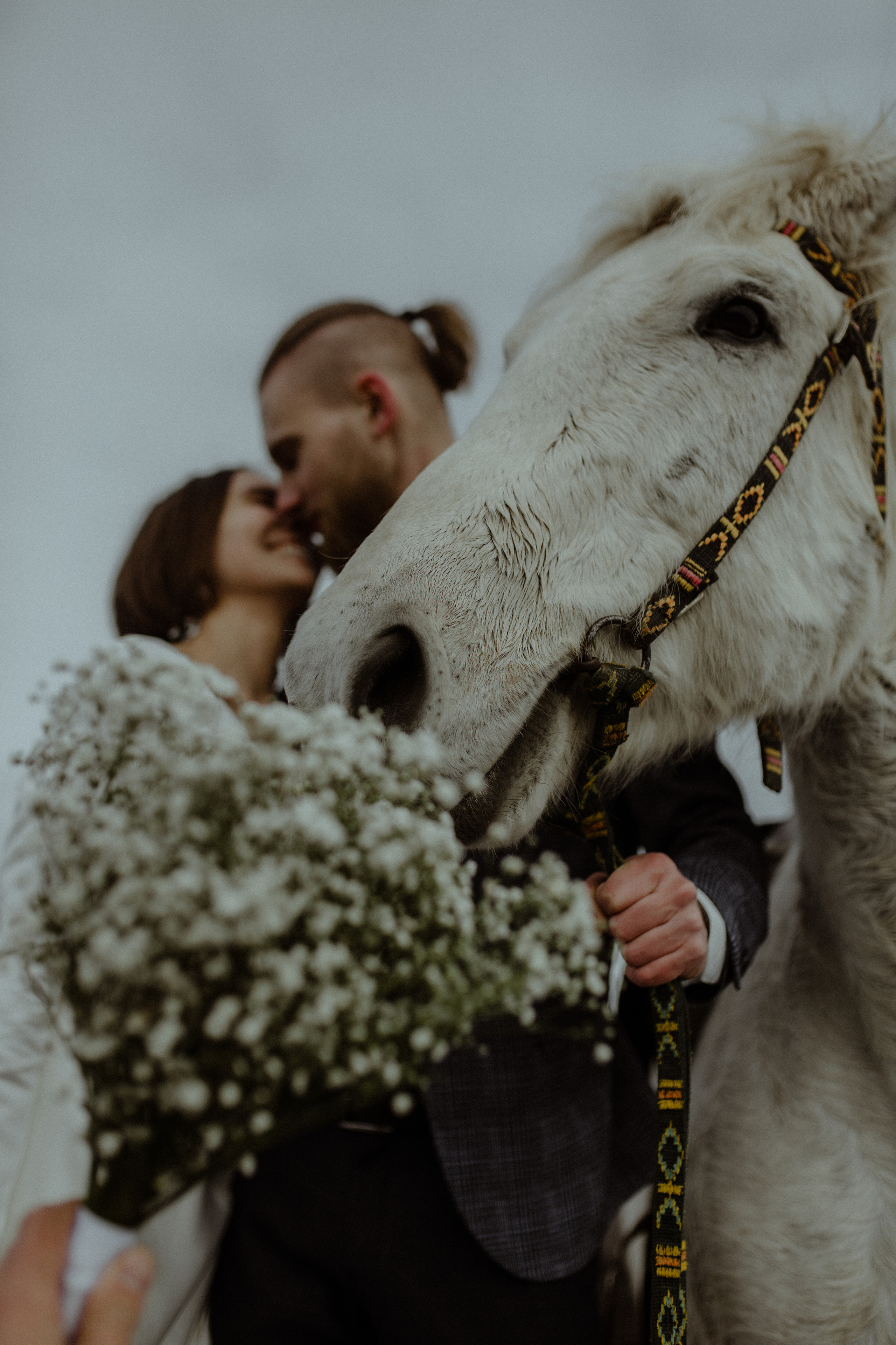 Aristarh & Elen. Свадебное фото и видео на Камчатке. Туристические маршруты