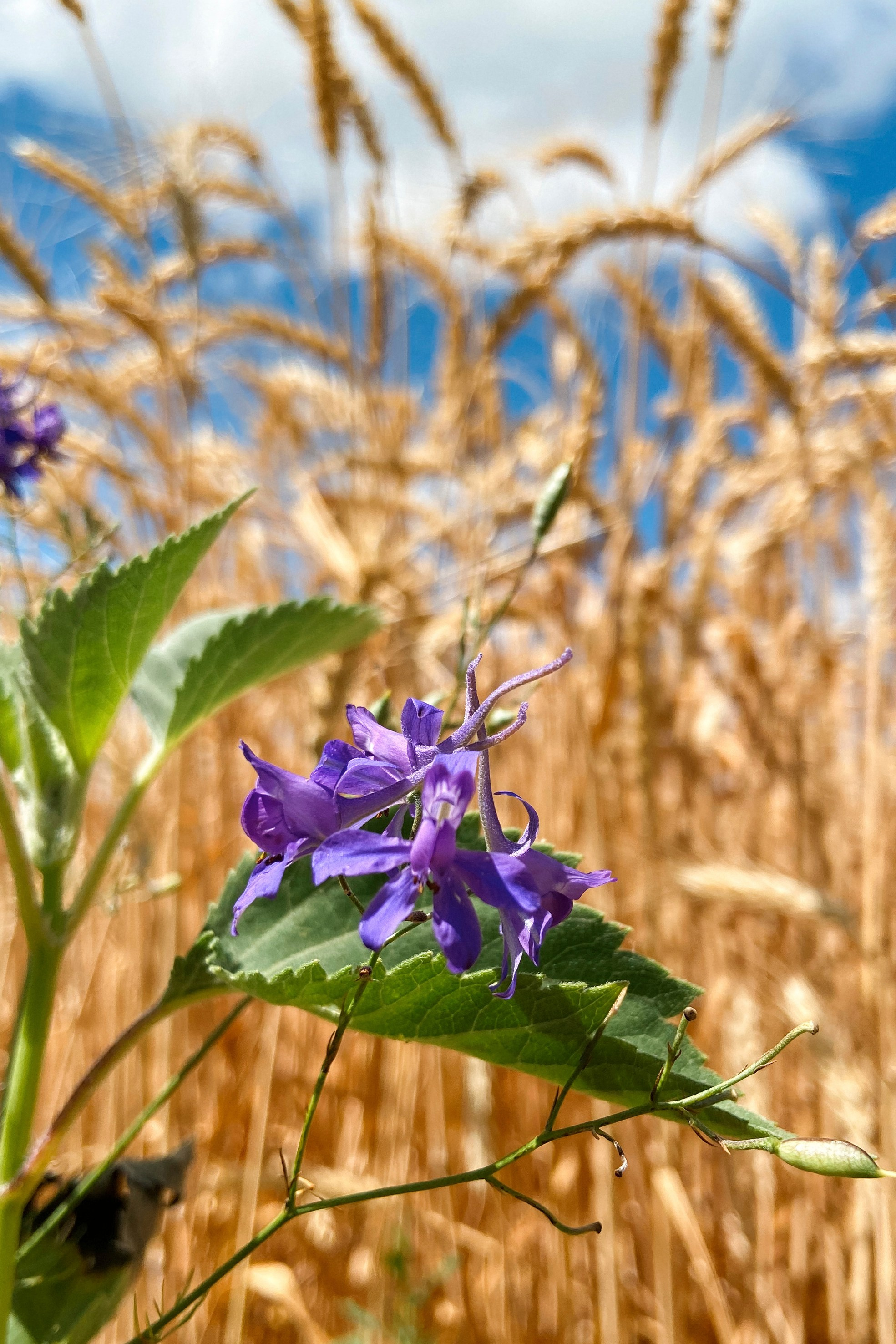 Природа. Команда фотографов Кристины Ивановой