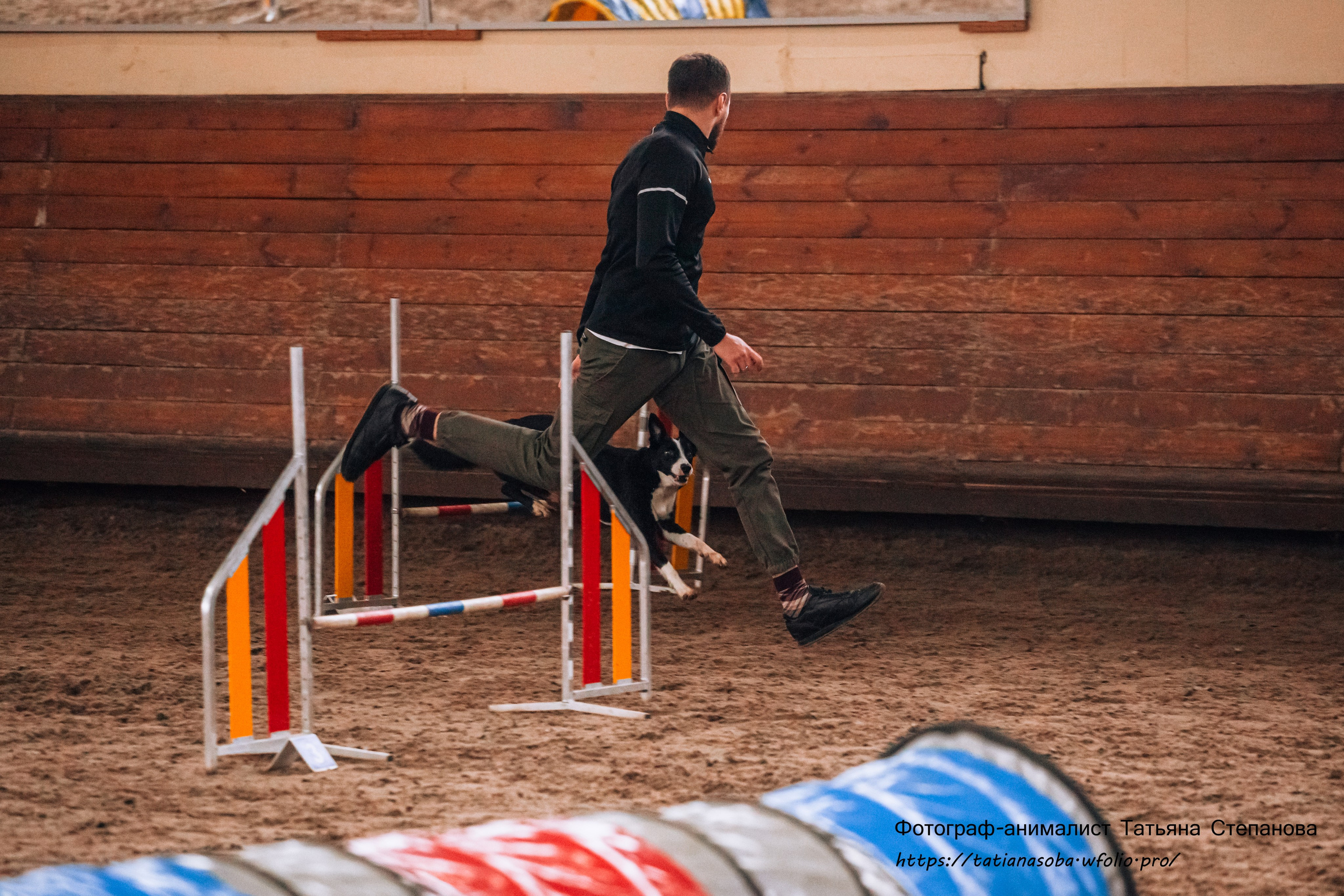 Соревнования по Аджилити 25.02.2024. Фотограф-анималист Татьяна Степанова