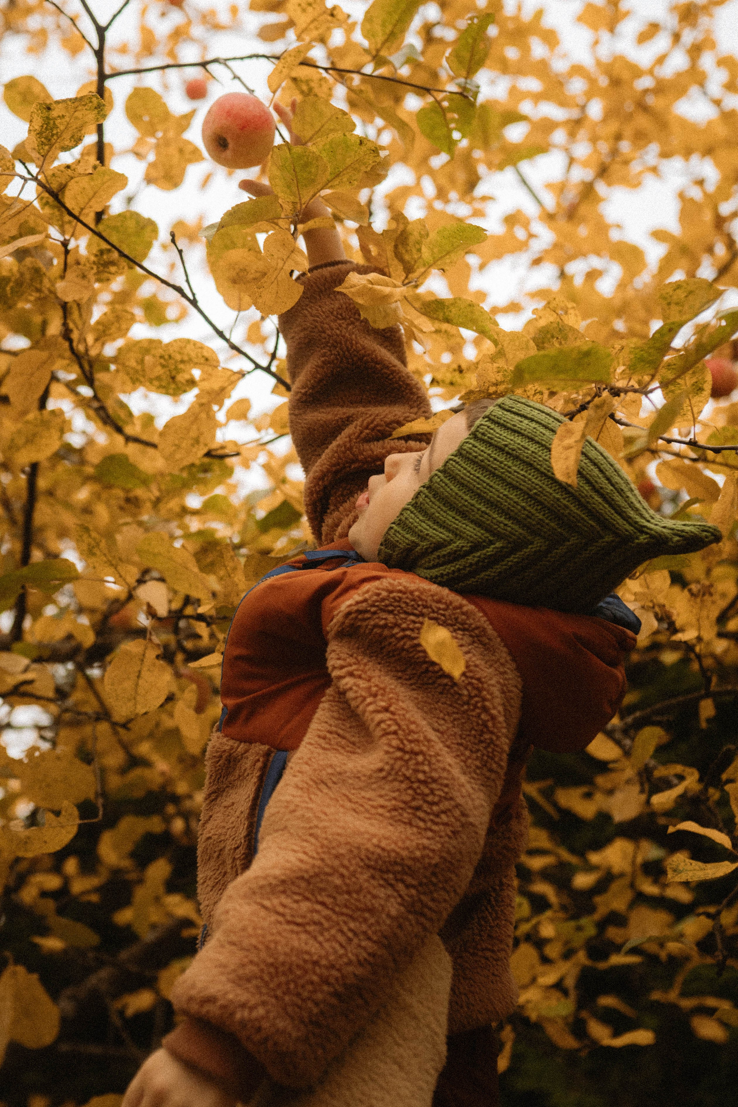 Карина, Миша, Оливер. Семейный фотограф Юлия Котова