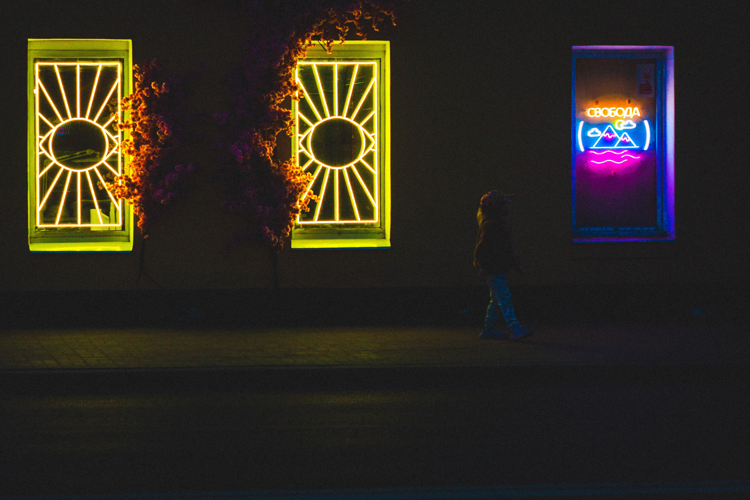 День после. Den Mirov — Фотограф, Музыкант