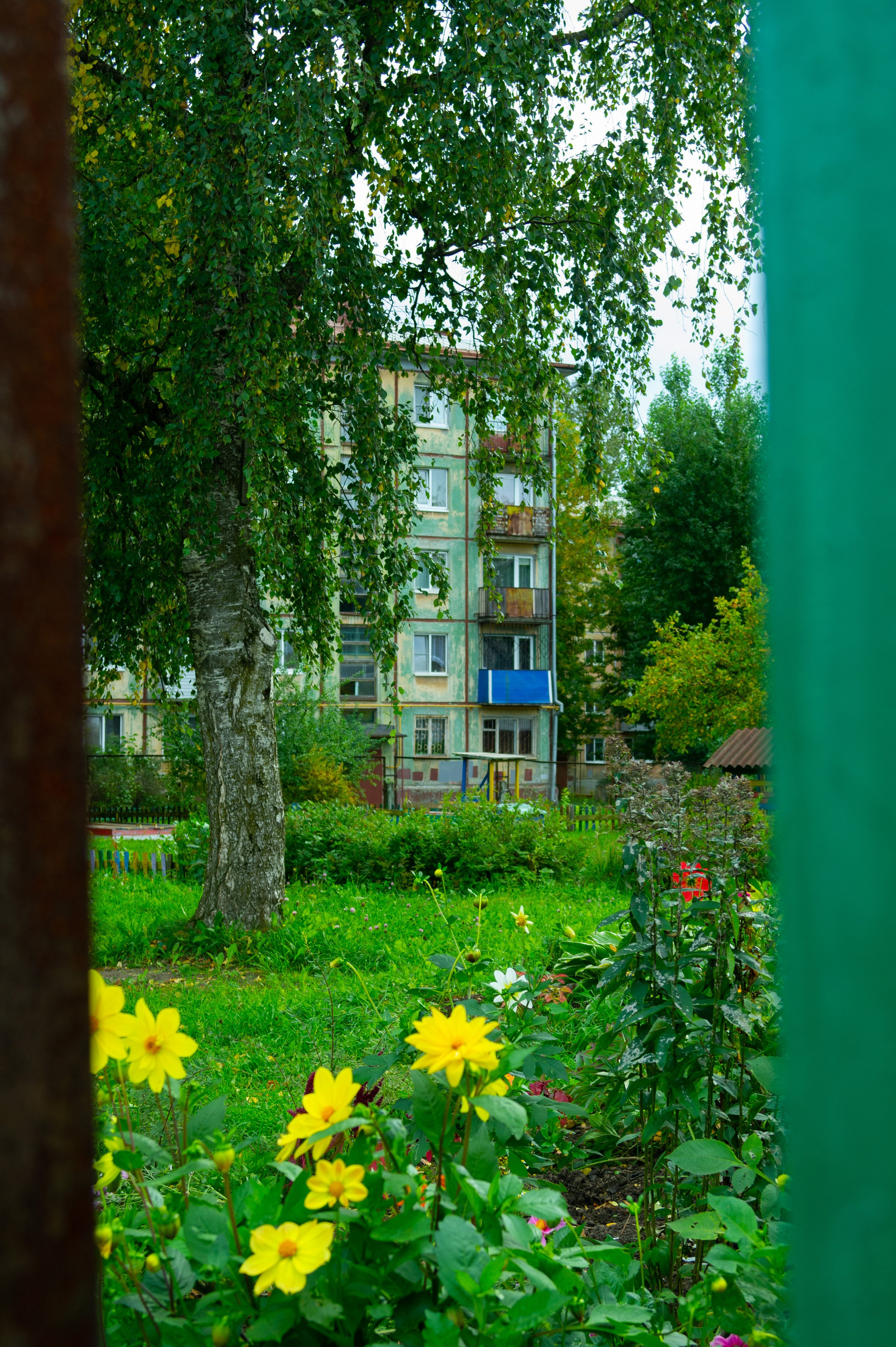 Сентябрь 2025. Den Mirov — Фотограф, Музыкант