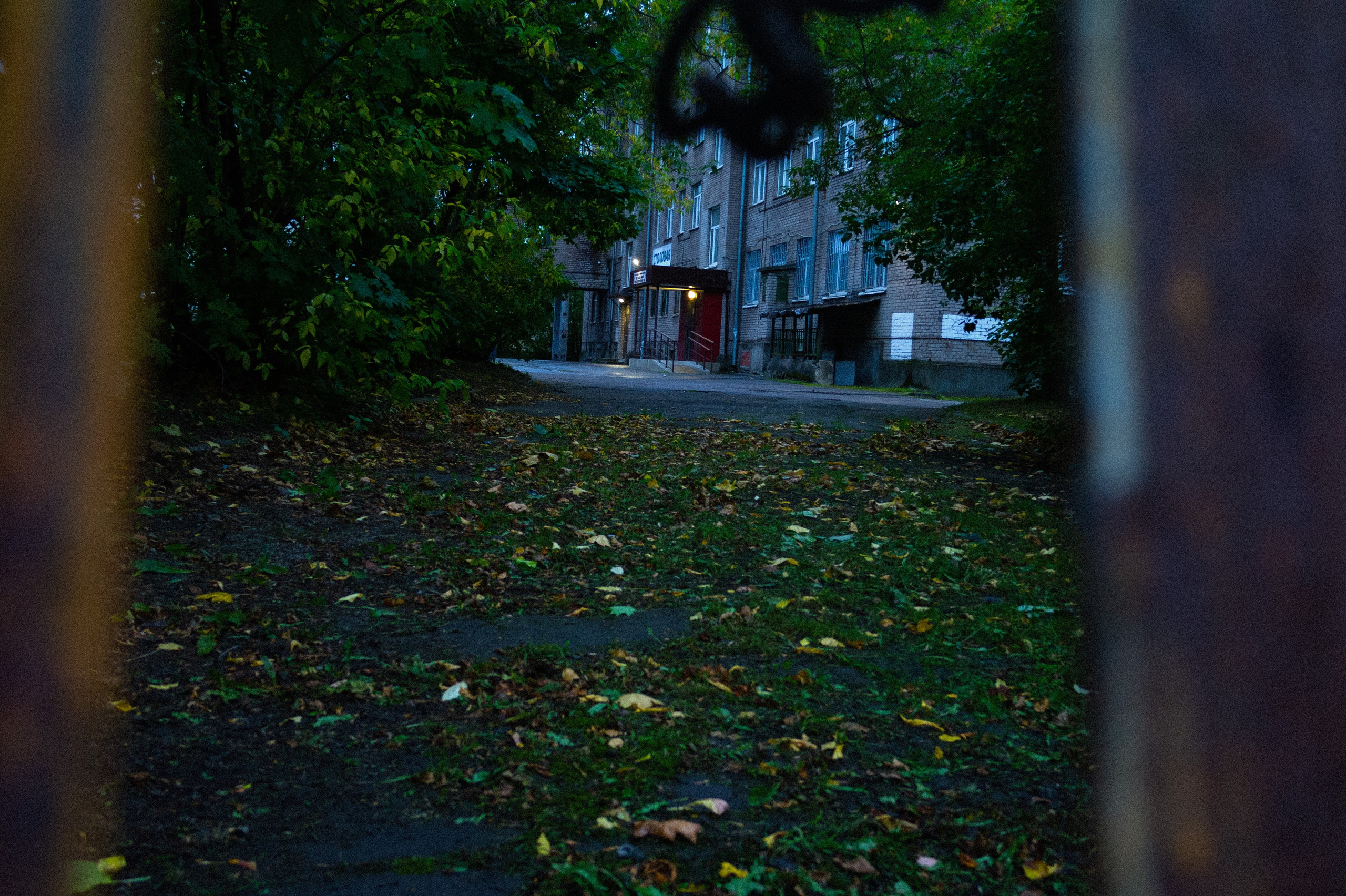 Сентябрь 2025. Den Mirov — Фотограф, Музыкант