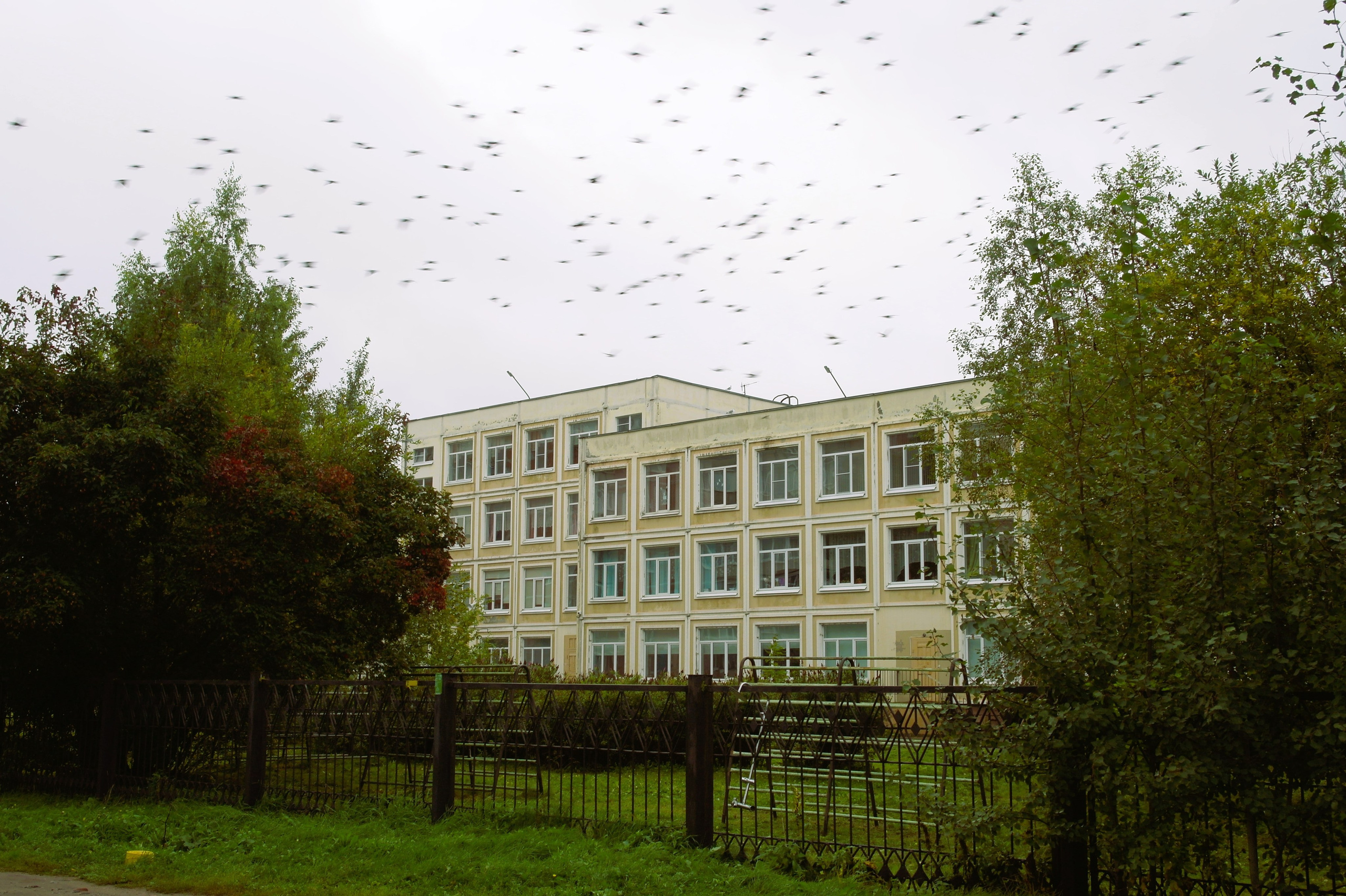 Сентябрь 2025. Den Mirov — Фотограф, Музыкант