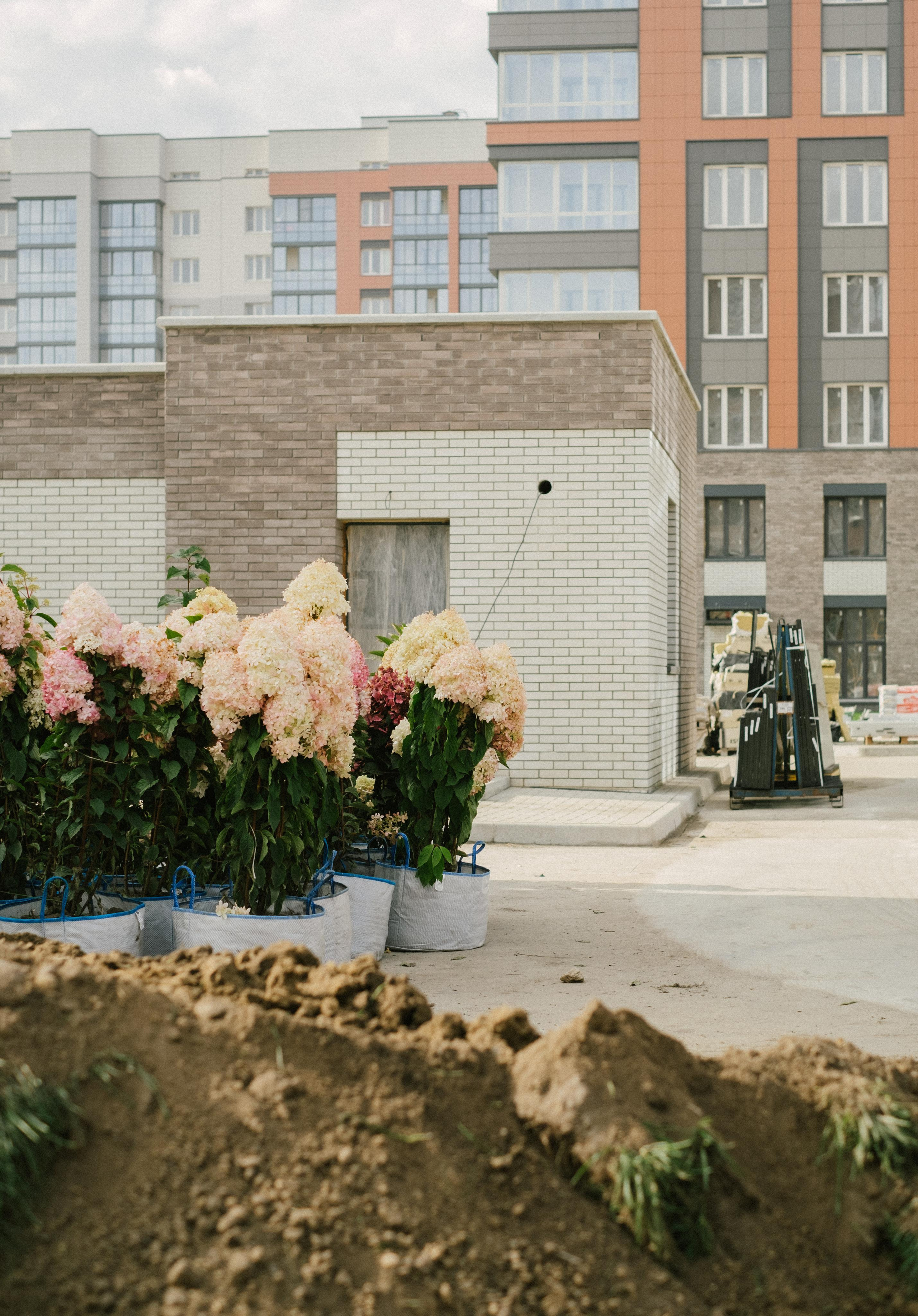 Фотосессия для застройщика. Ксения Ильиных — Фотограф в Новосибирске