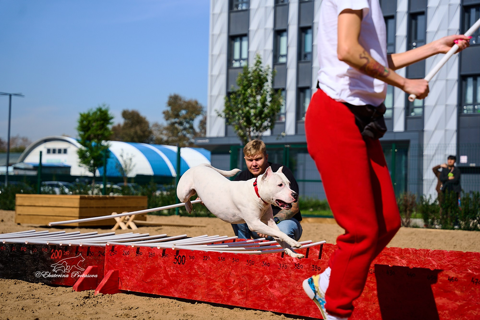 Питстафф многоборье. Фотограф-анималист в Иркутске