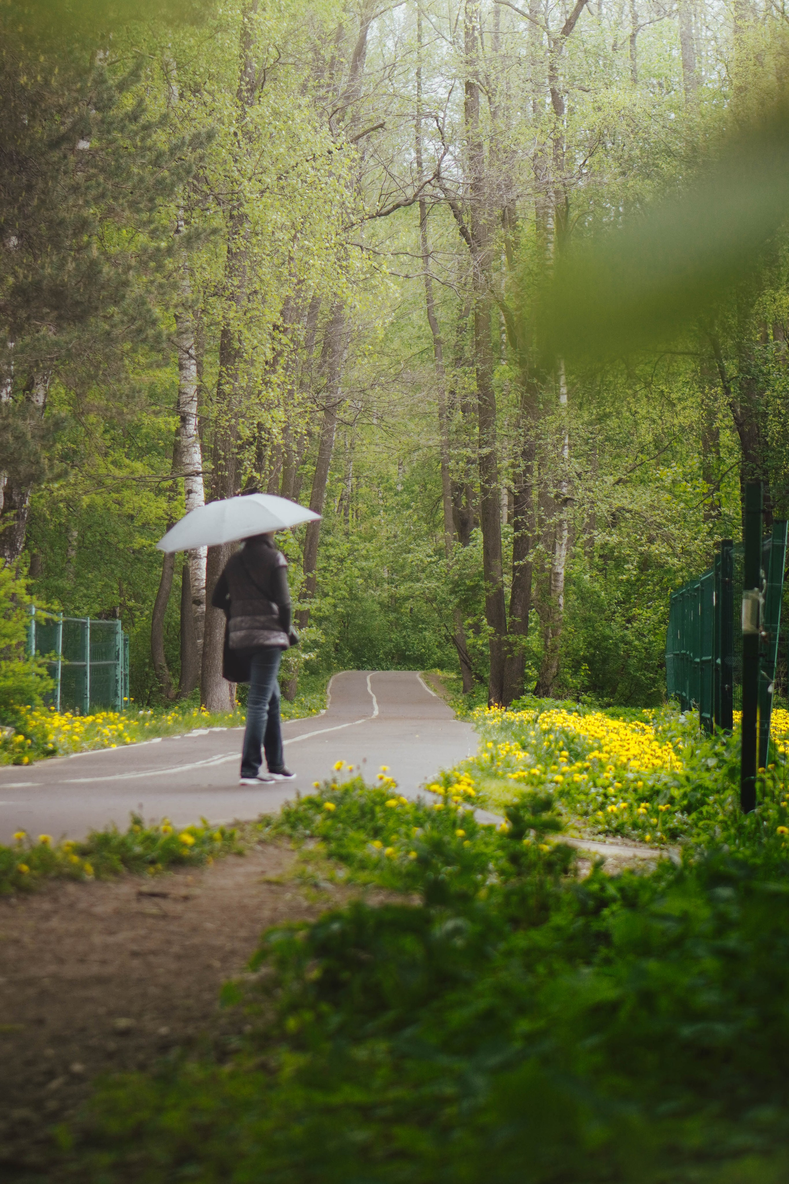 Уличная съёмка (2). Видео и Фото