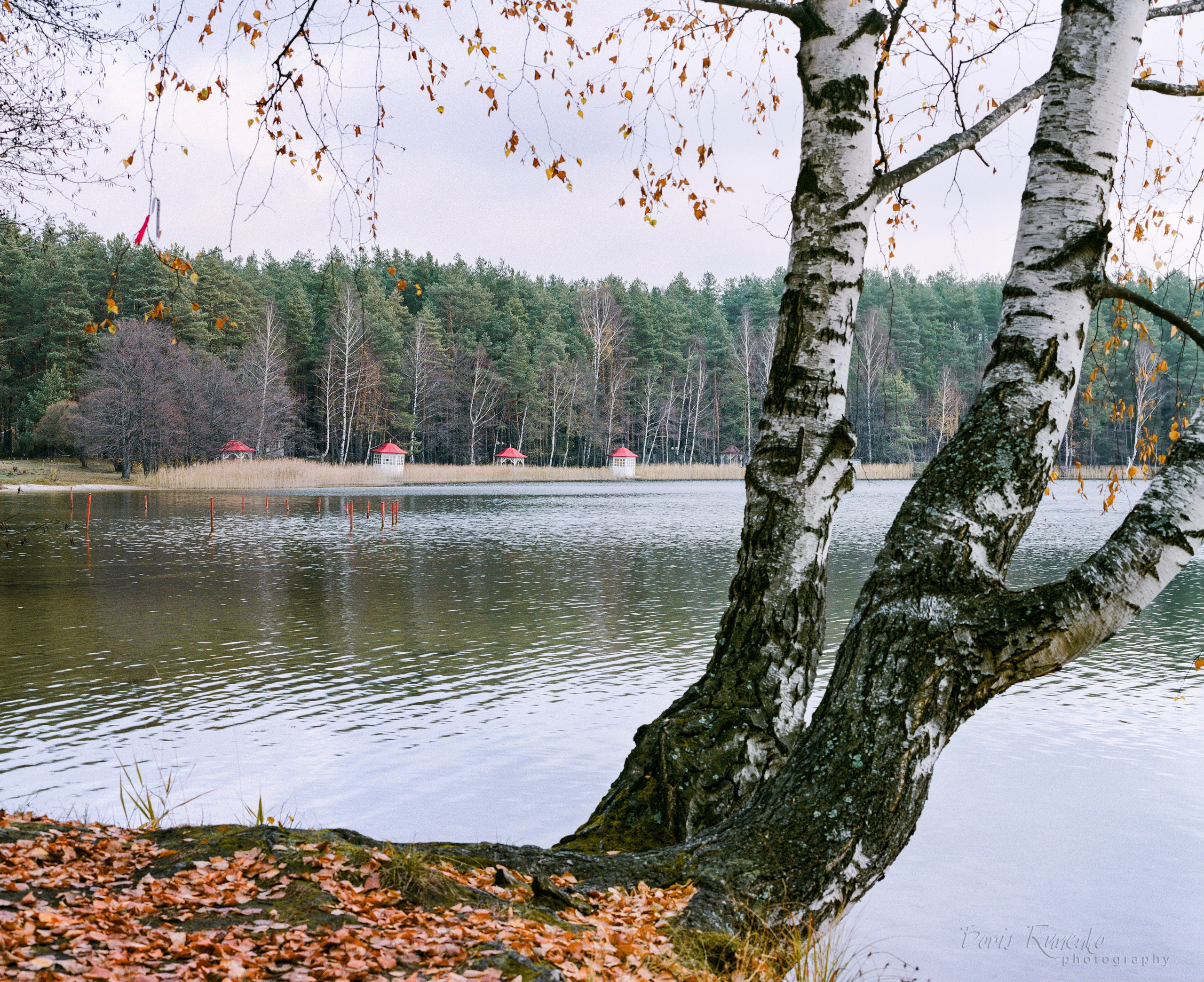 Озеро Белое. Московская область. Борис Руненко. Пейзажный и travel-фотограф