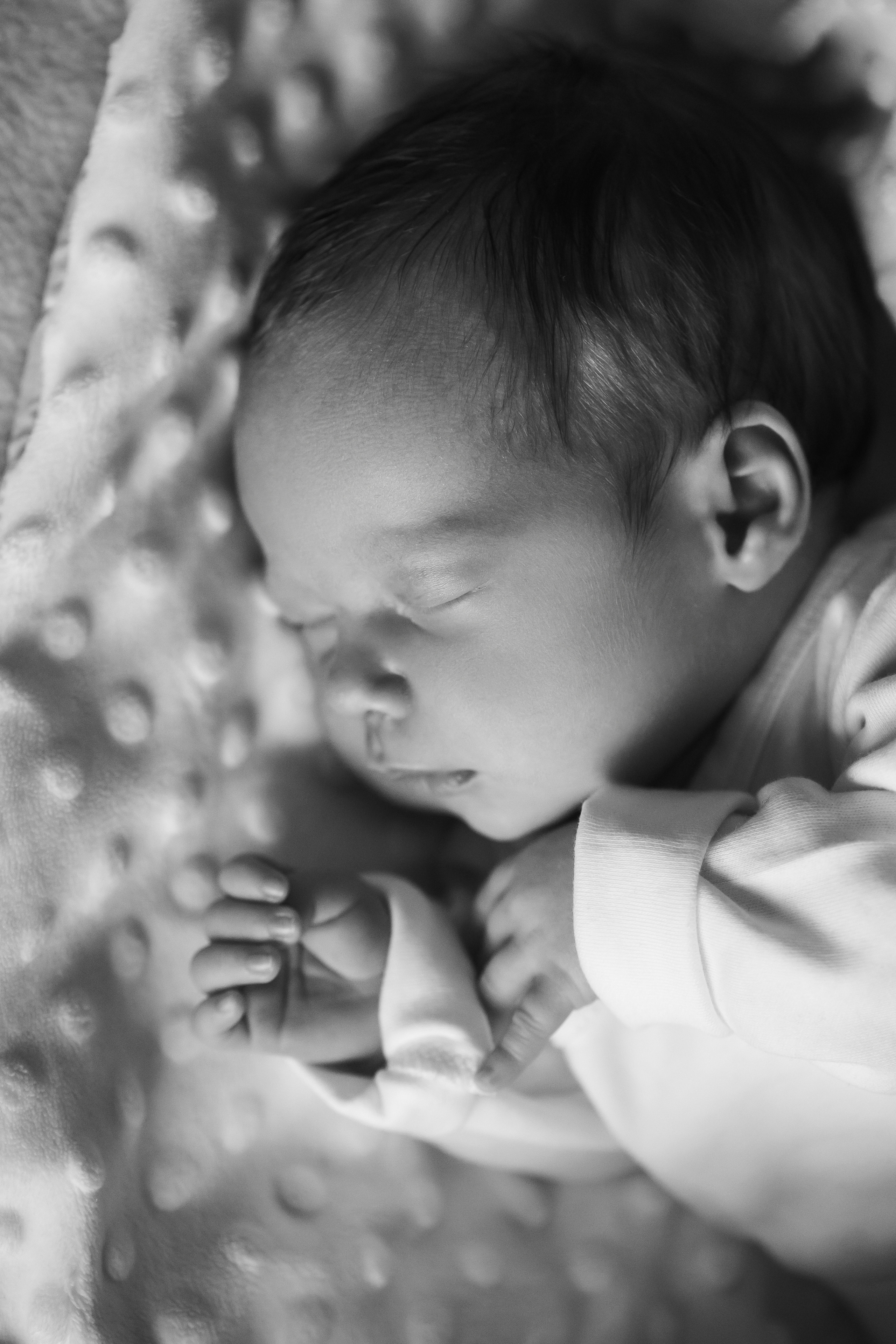 Новорожденные. Кристина Москвина. Портретный фотограф