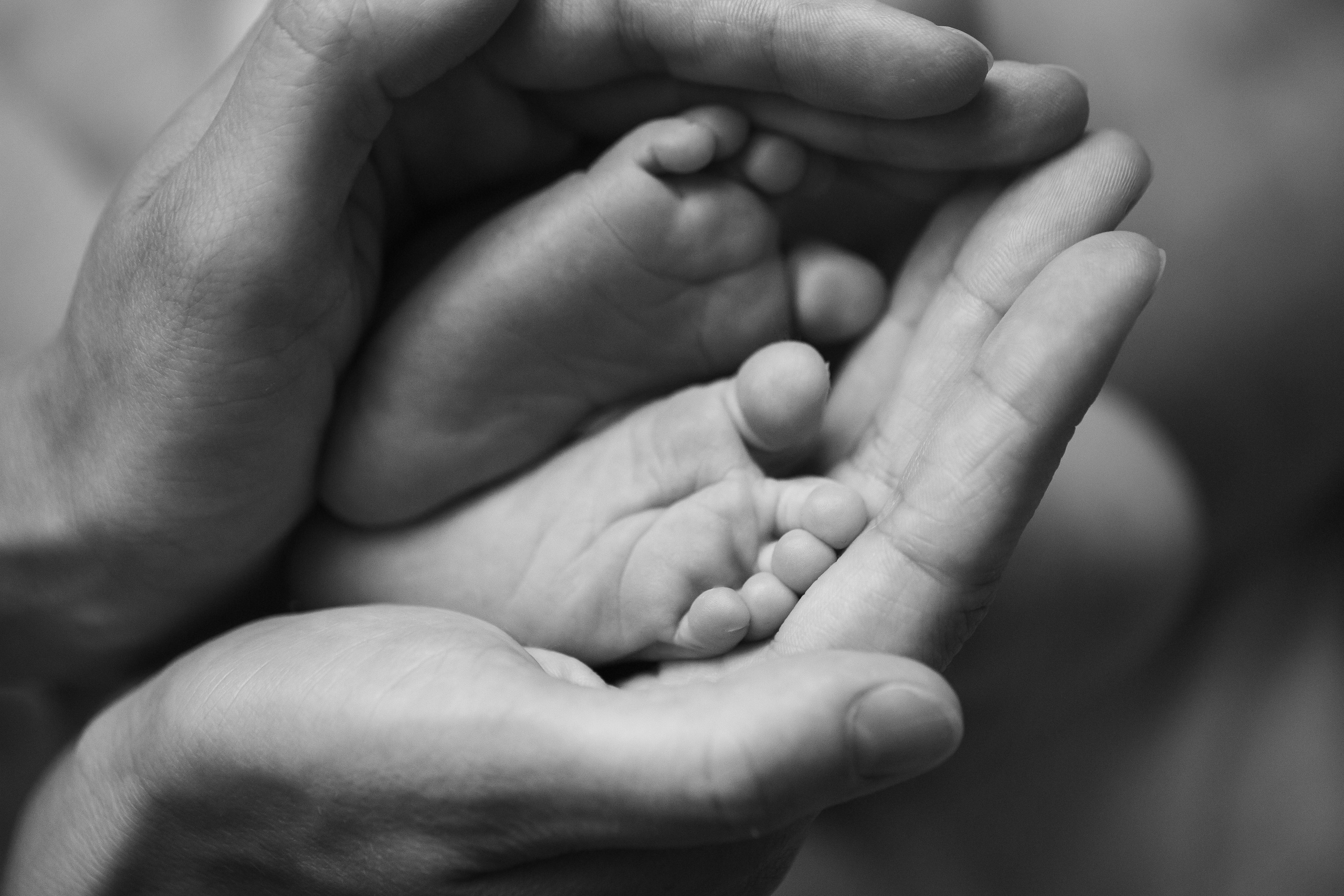 Новорожденные. Кристина Москвина. Портретный фотограф