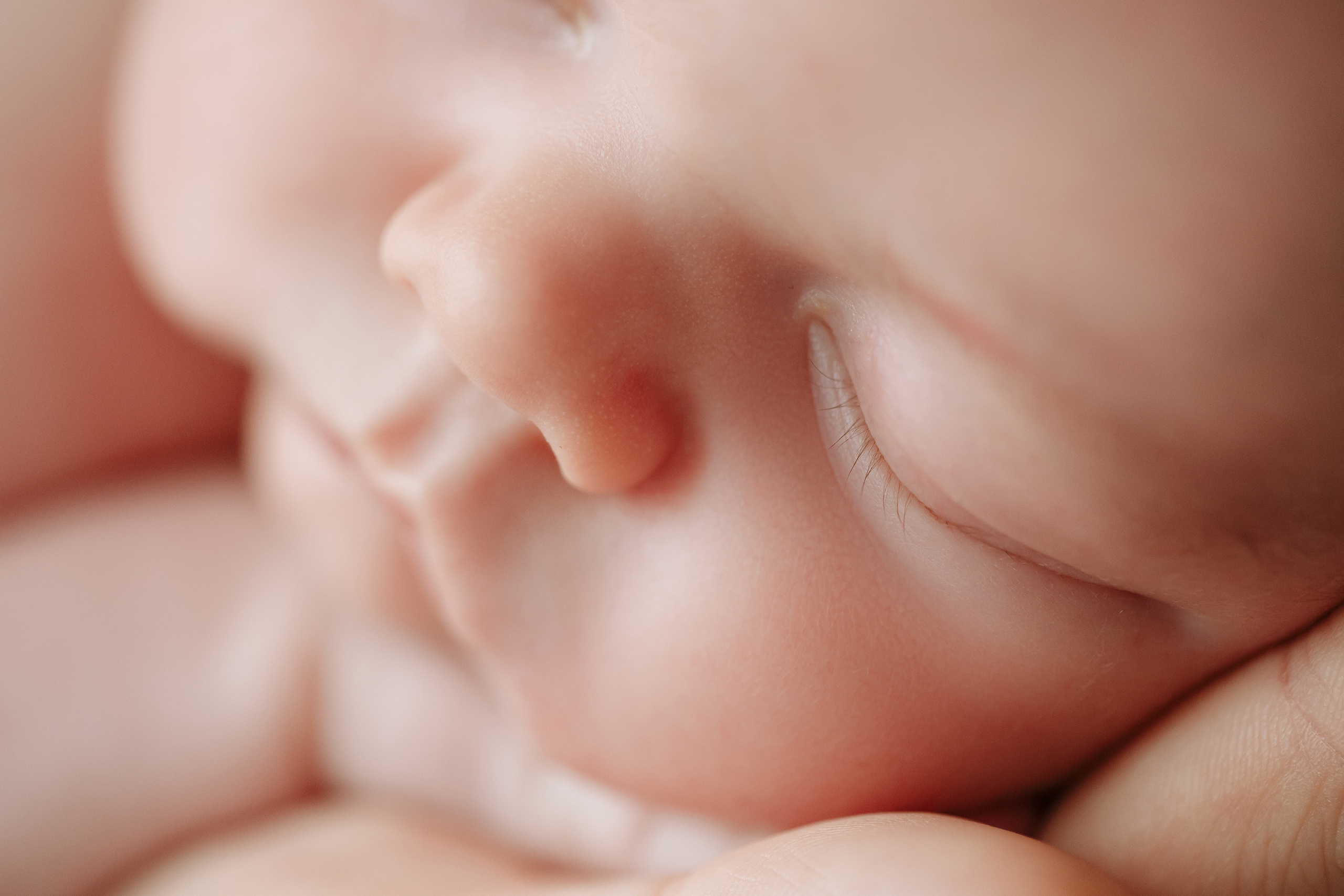 Новорожденные. Кристина Москвина. Портретный фотограф