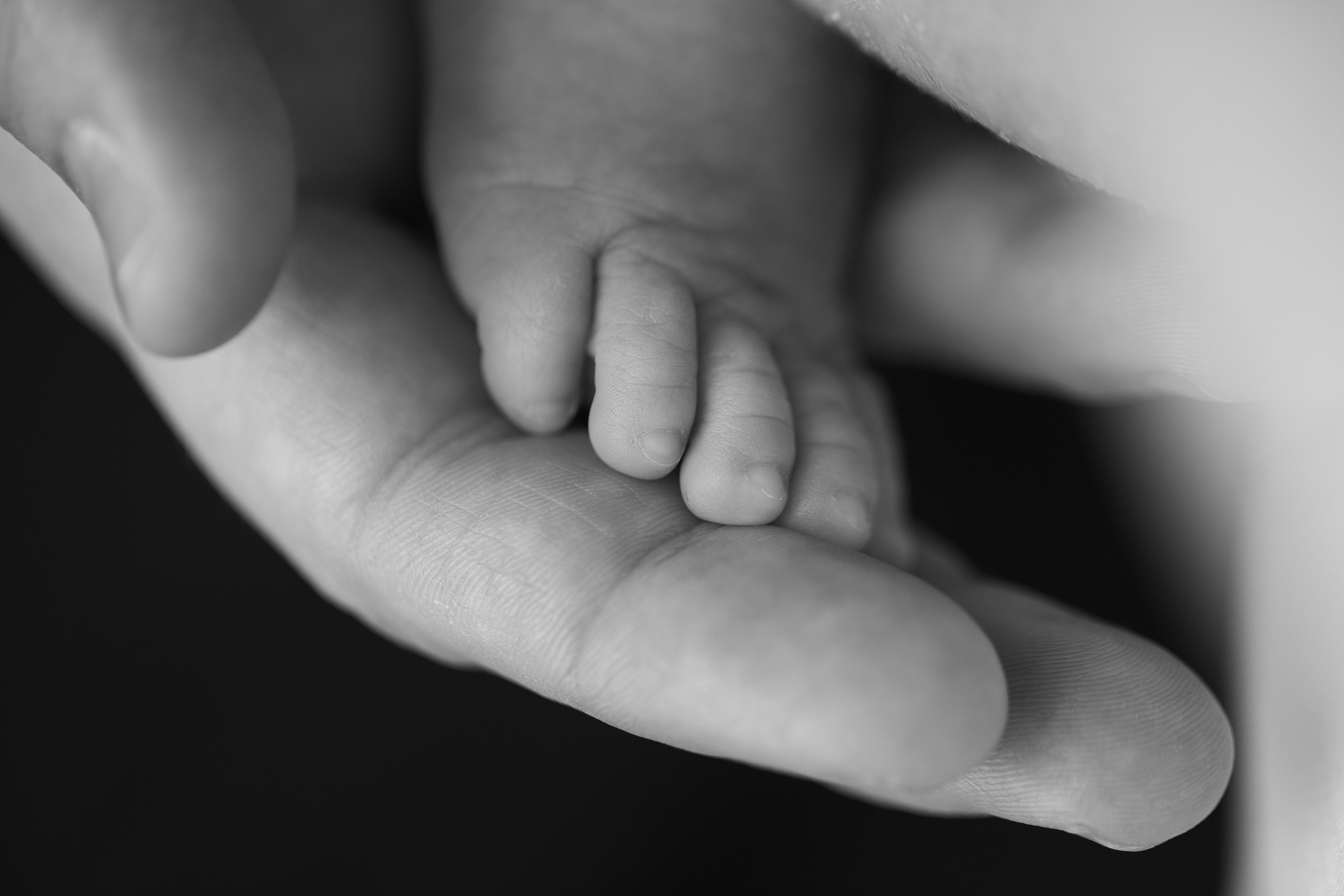 Новорожденные. Кристина Москвина. Портретный фотограф