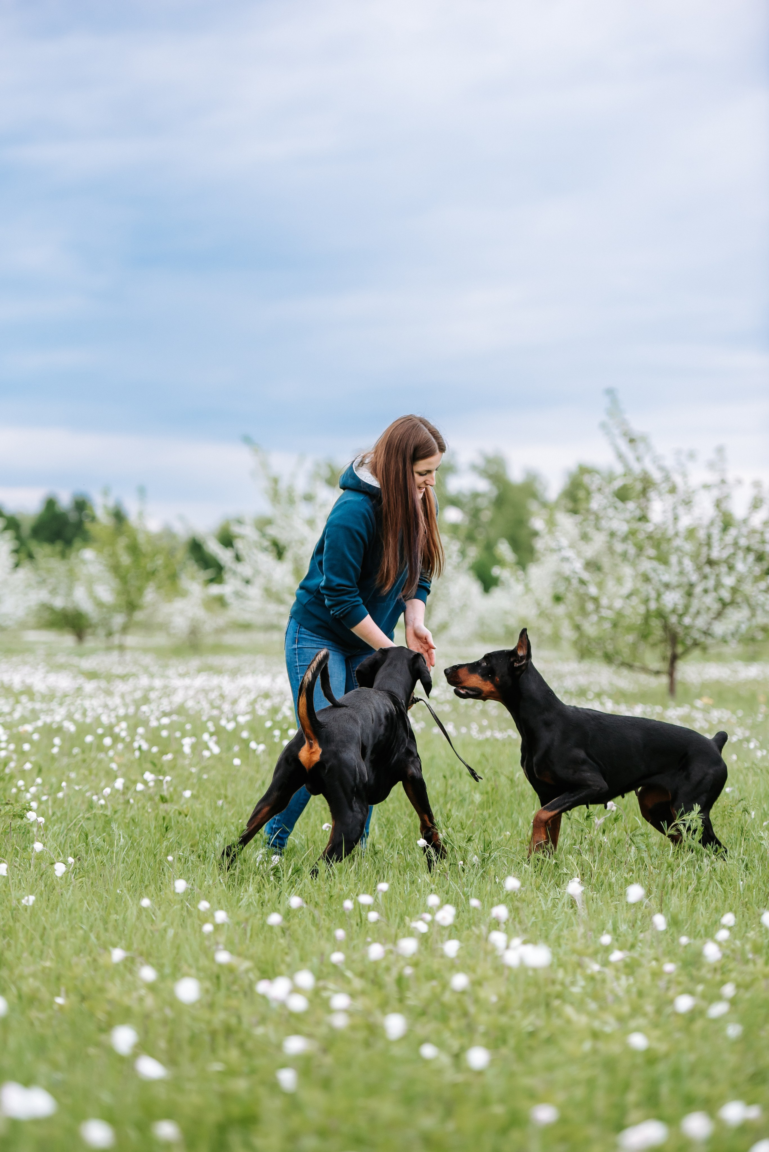 Цветение с доберманами. Фотограф Диана Оленина Красноярск / Братск