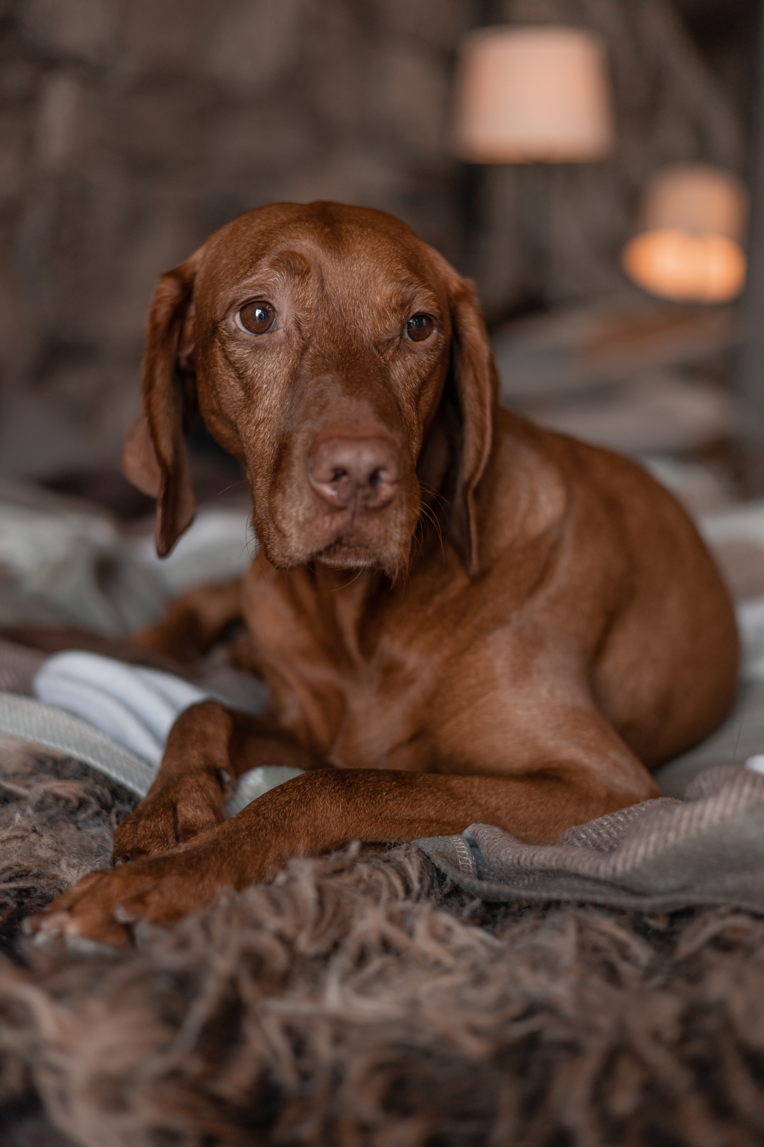 LoveStory Виктор и Мария. Фотограф, видеограф -Александр Антонян