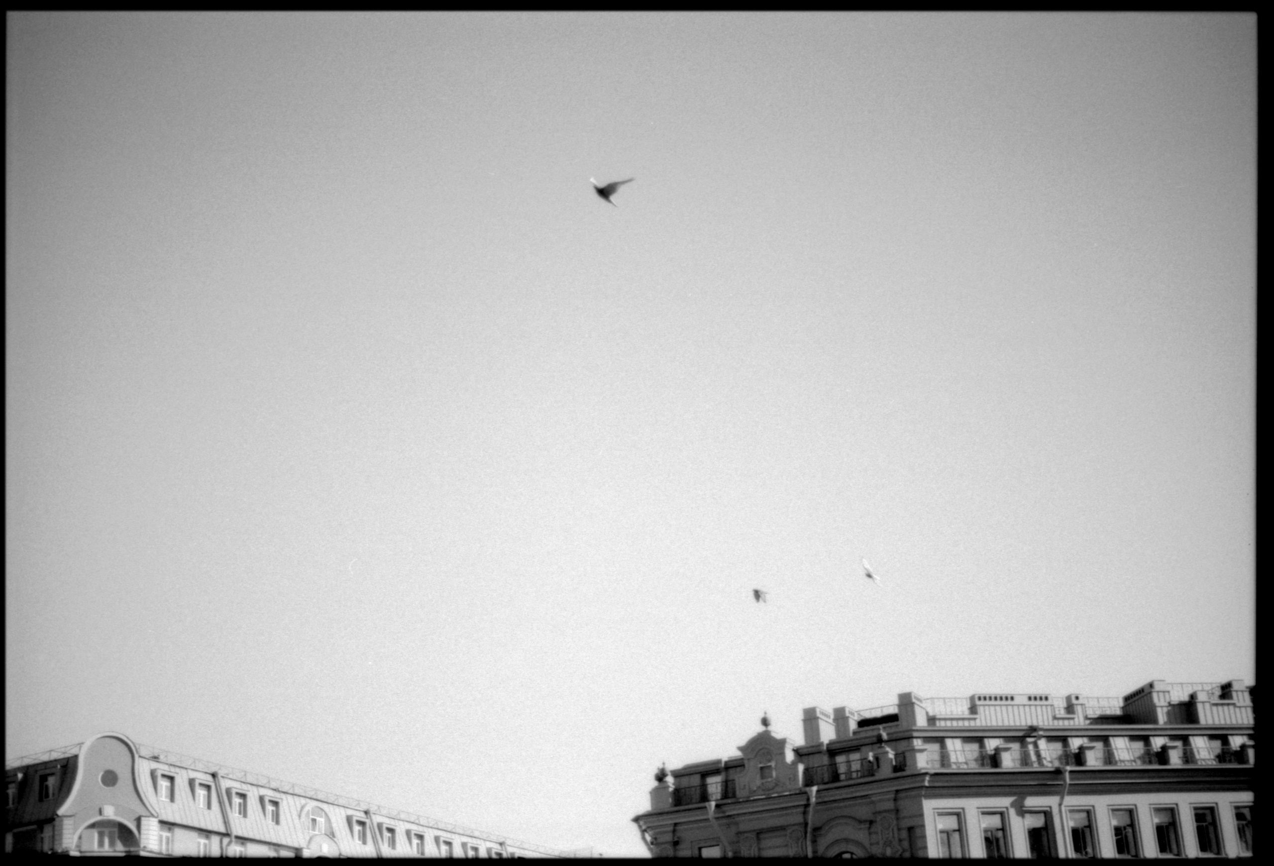 Петербург. Фотограф в Ярославле