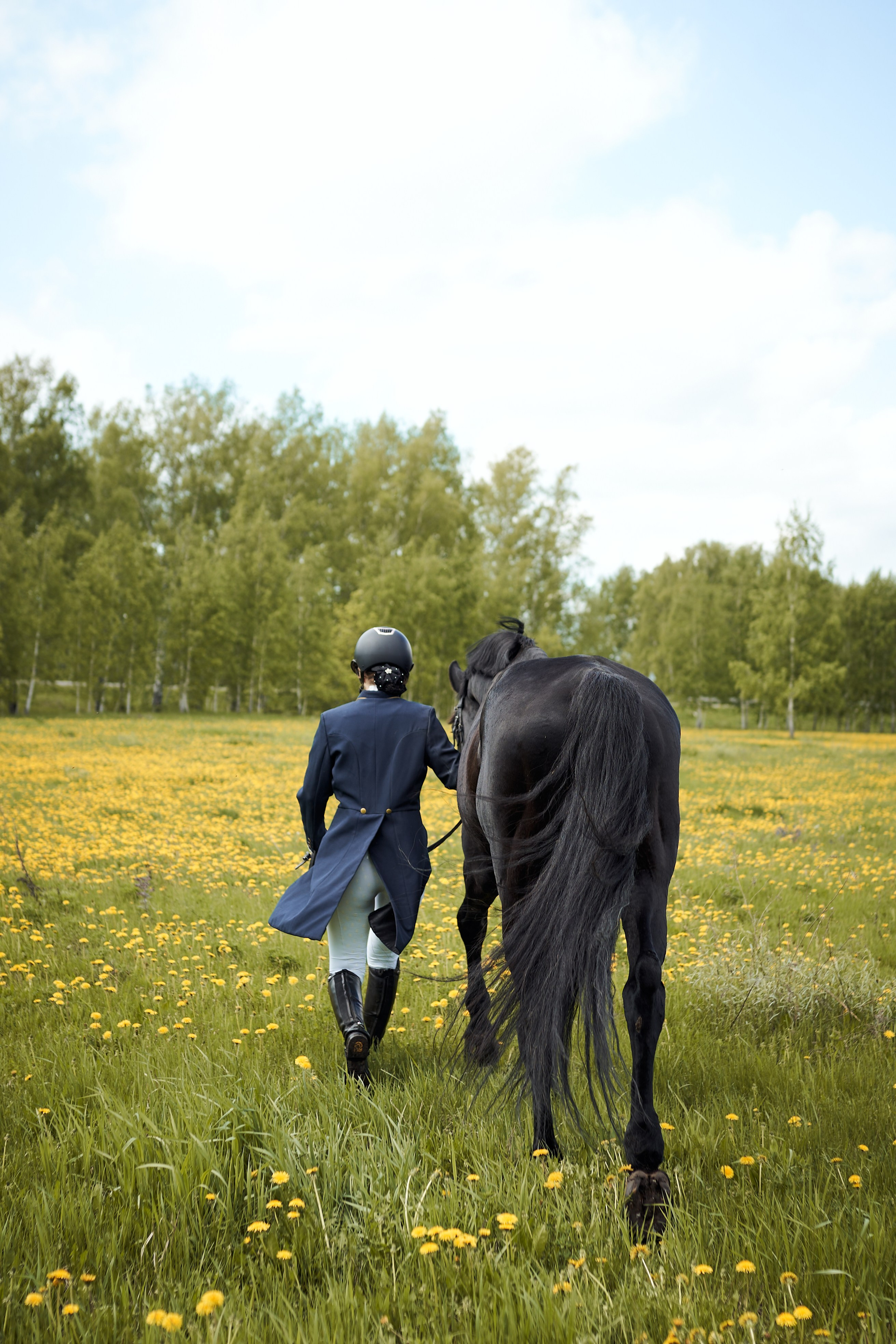 Полина и Парламент. Фотосессии с лошадьми в Москве, Новосибирске