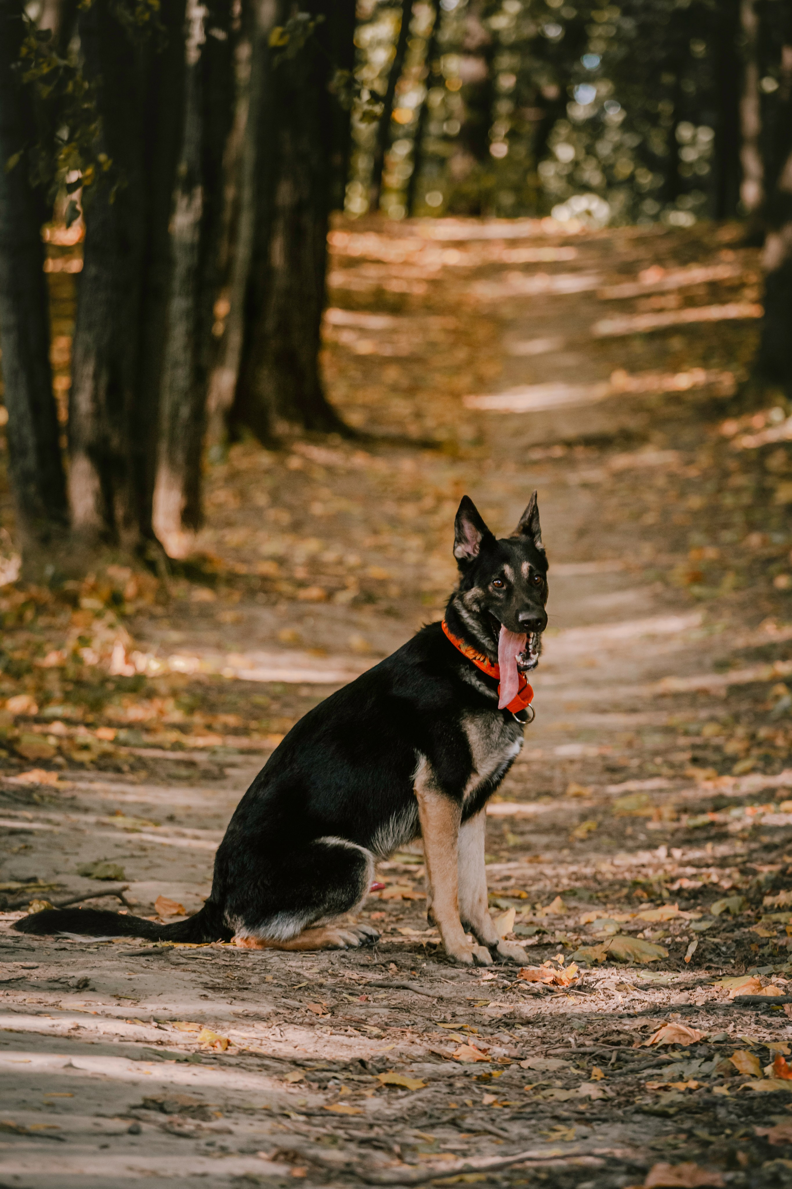Илай. Фотограф-анималист Татьяна Степанова