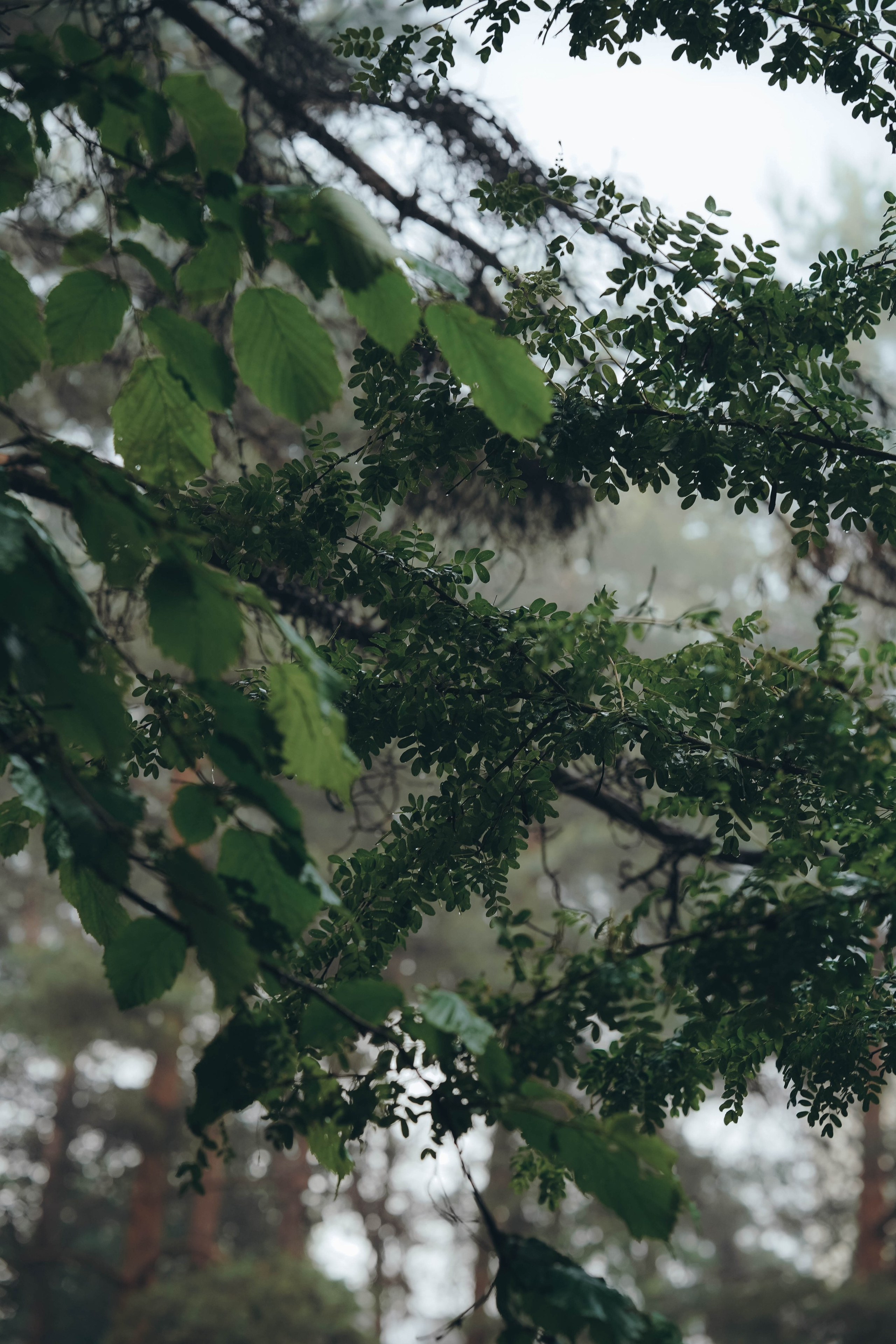 Ее тело — храм, мой Бог — свет. Семейный и свадебный фотограф