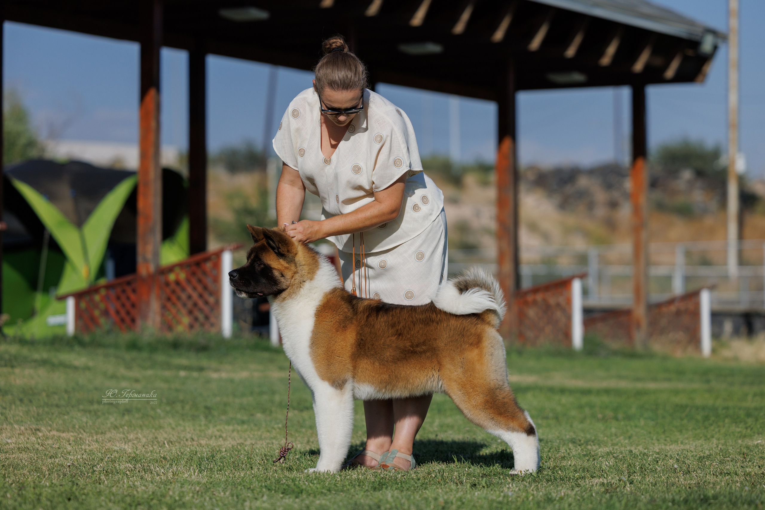 Ереван 3хCACIB 23-25.06.2025. Фотограф-анималист Юлия Германика