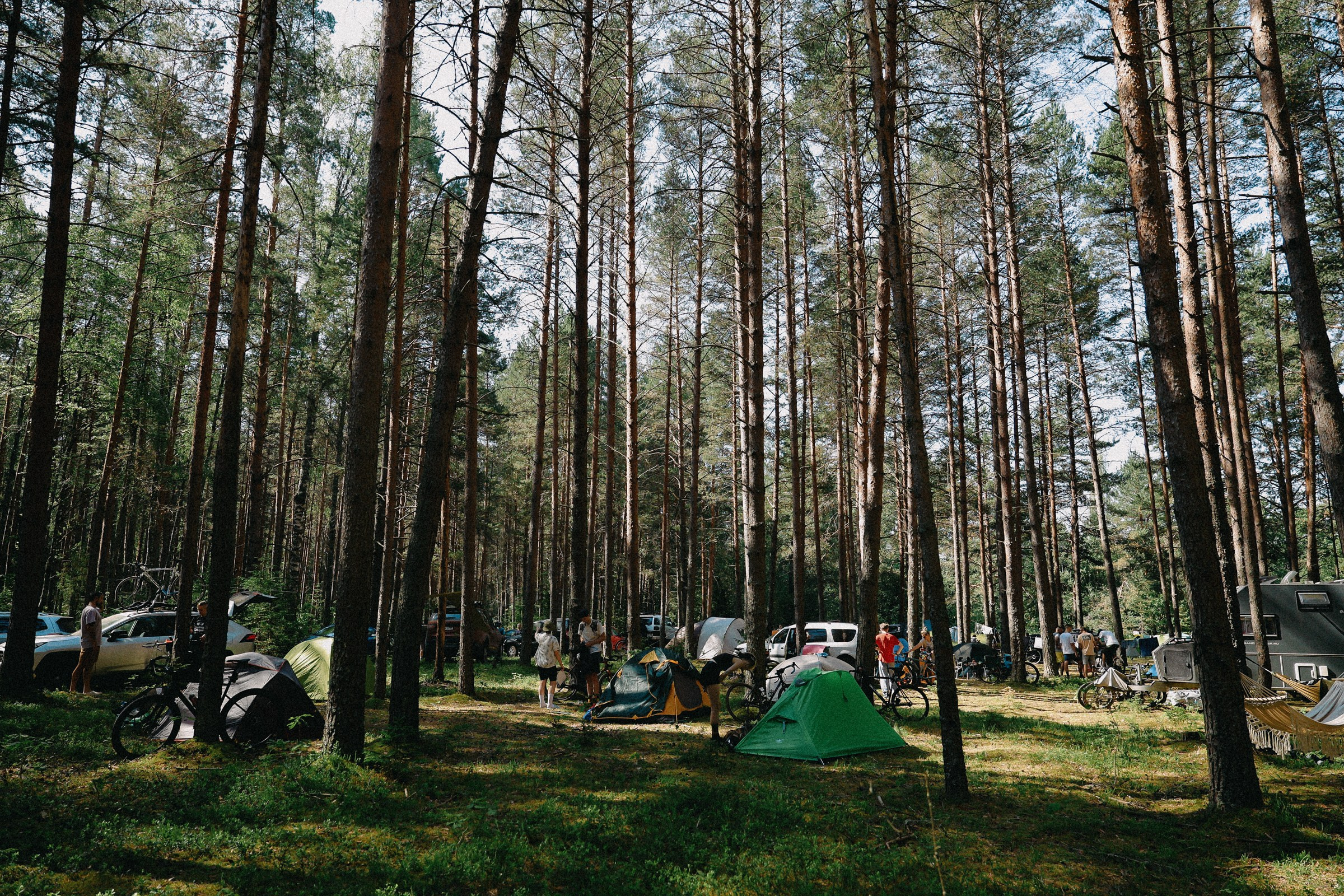 /РЕПОРТАЖ/ Велогонка ЦАРЬ-ГРЕЙДЕР 2. 2024. Свадебный фотограф Великий Новгород Станислав Кособудский