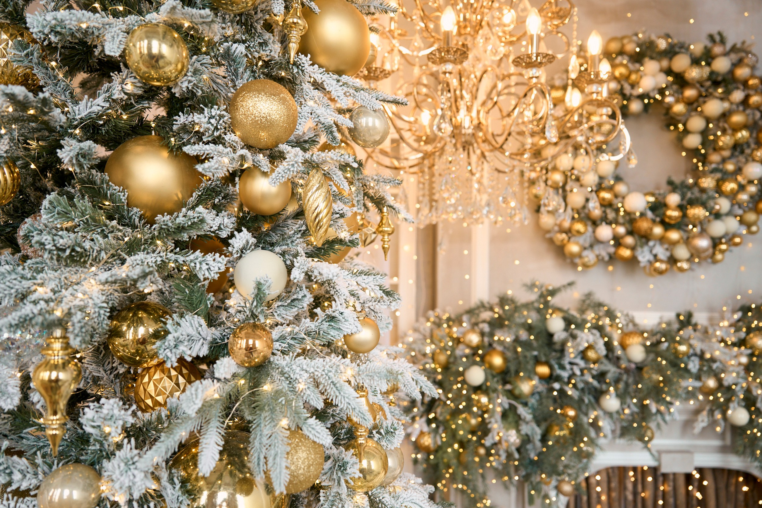 Флэт (Flat). Фотограф г. Хабаровск. Семейные и индивидуальные съёмки