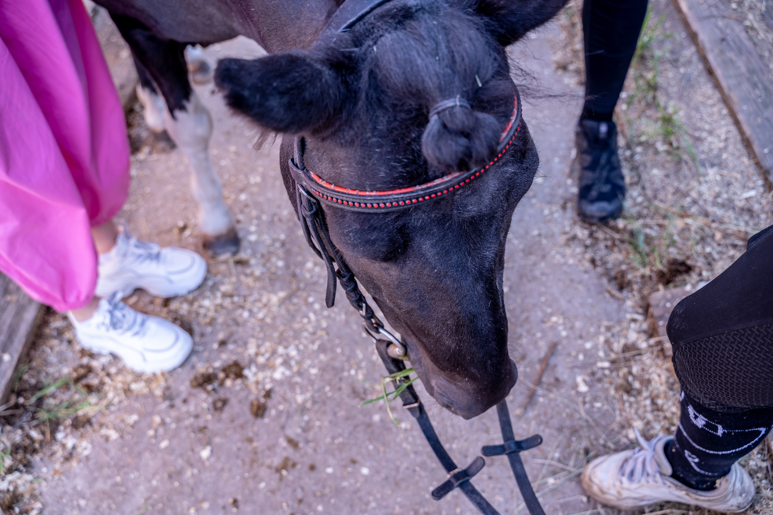 Корпоративные. Семейный и детский фотограф Ирина Ильиных-Вольная в Москве и не только