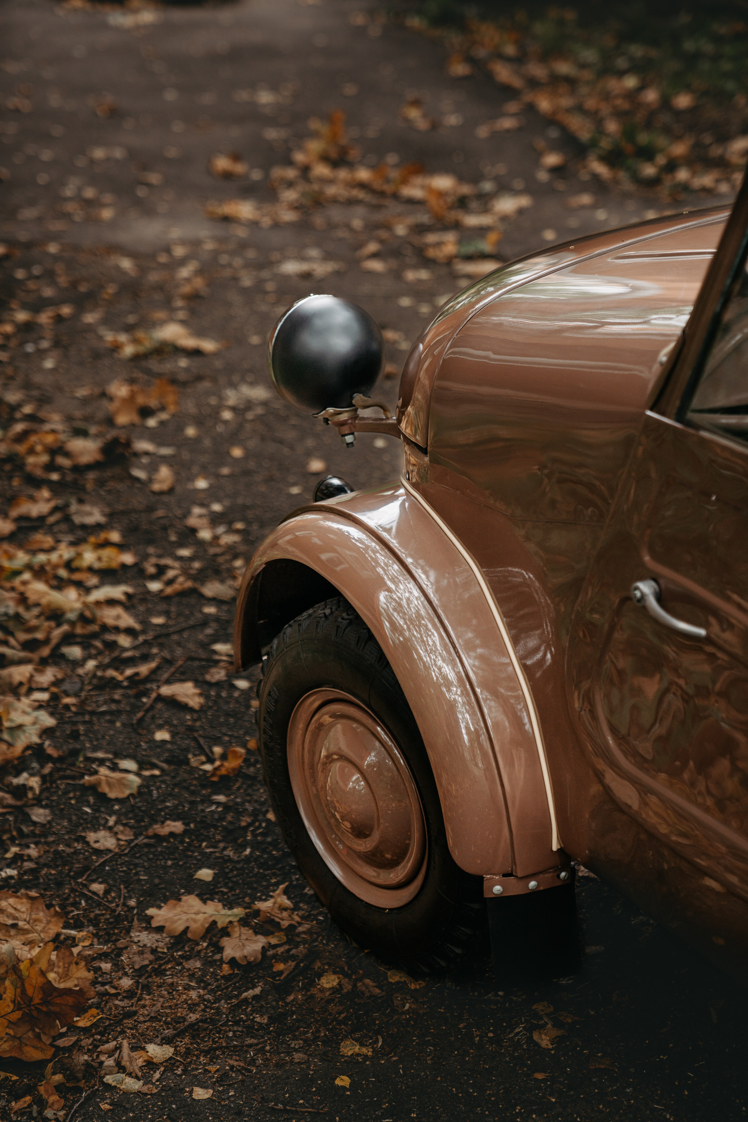 СМЗ С-3А. Фотограф в Санкт-Петербурге Мария Александрова