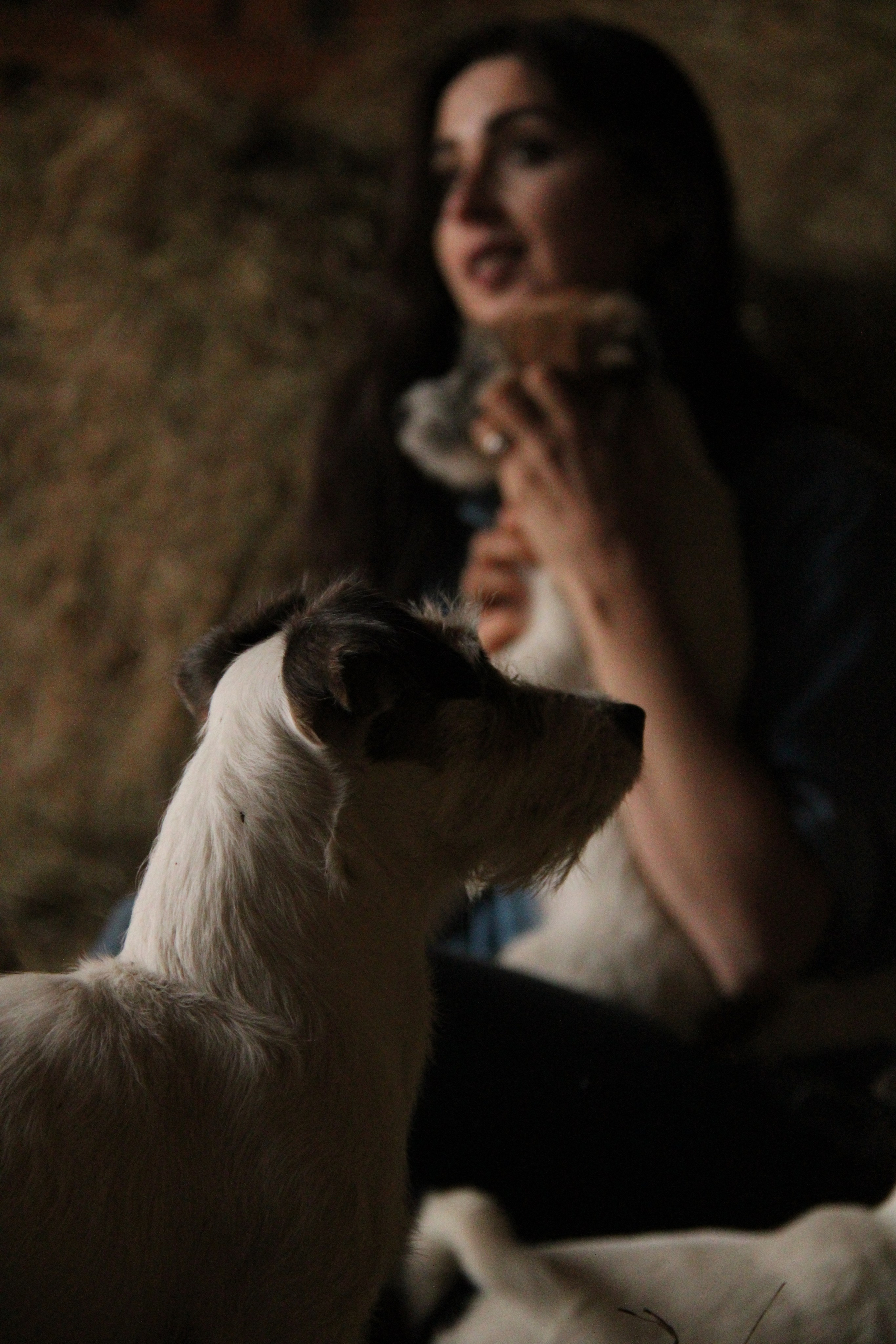 Тематическая съемка