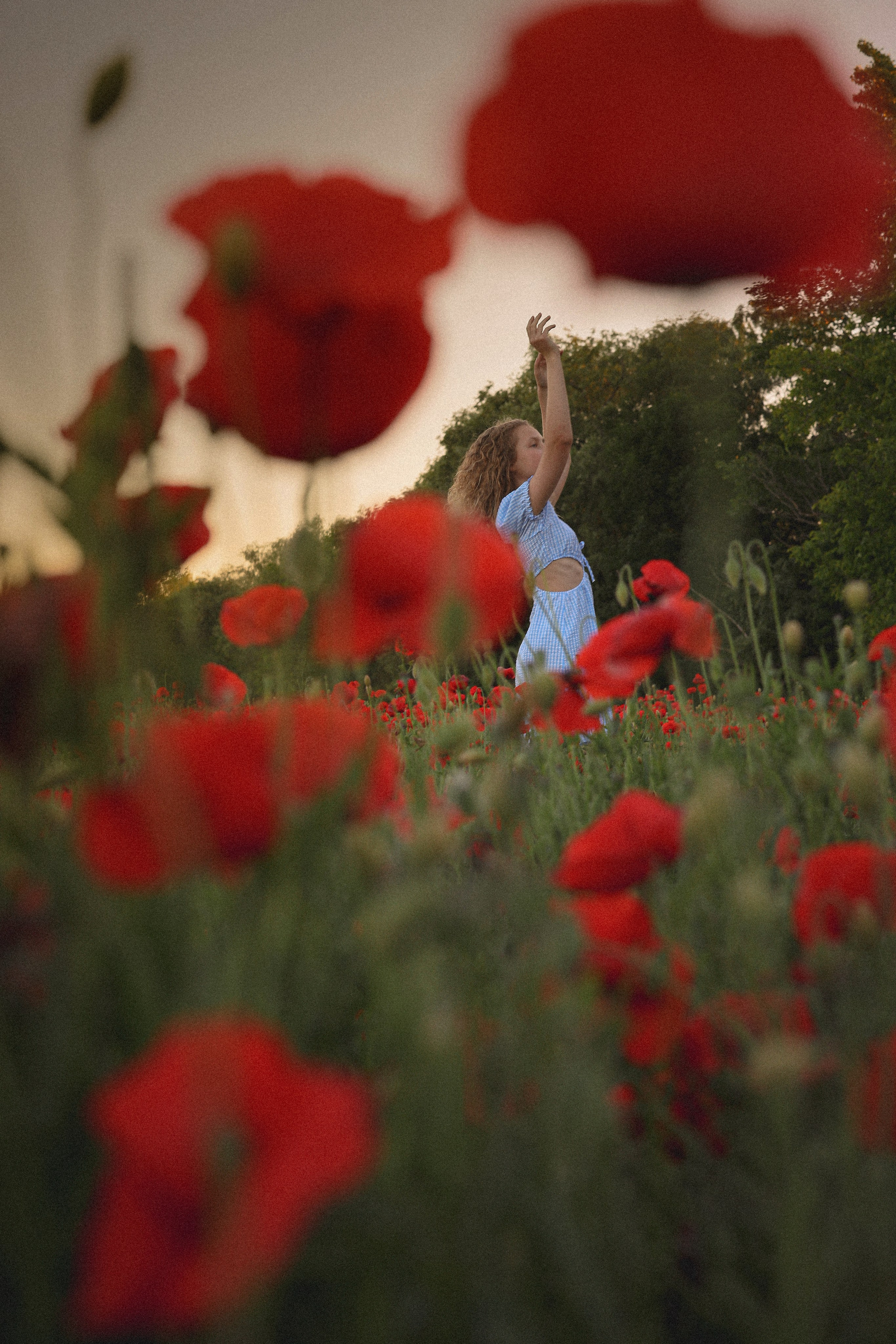 Детская фотосессия в маках. Свадебный и семейный фотограф в Абхазии Жанна Соснина
