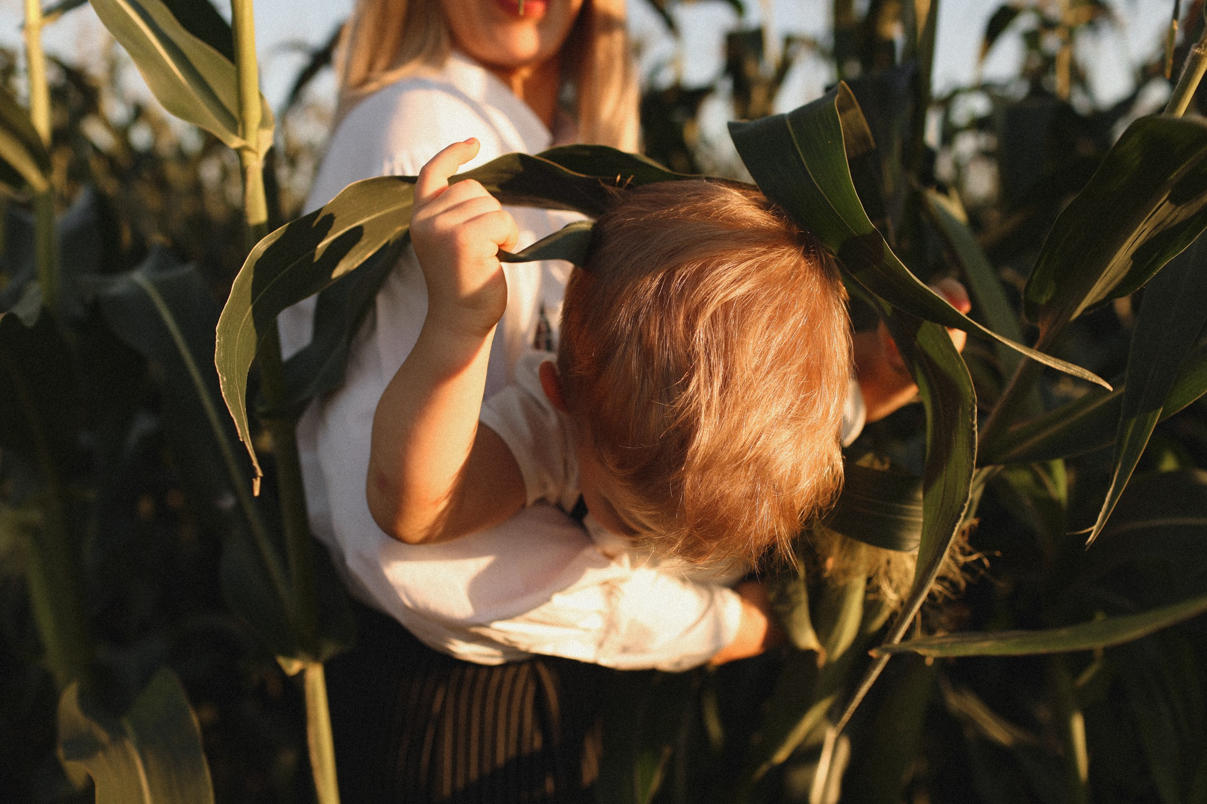 Пойдем смотреть птиц!. Семейный фотограф в Москве Алевтина Носова