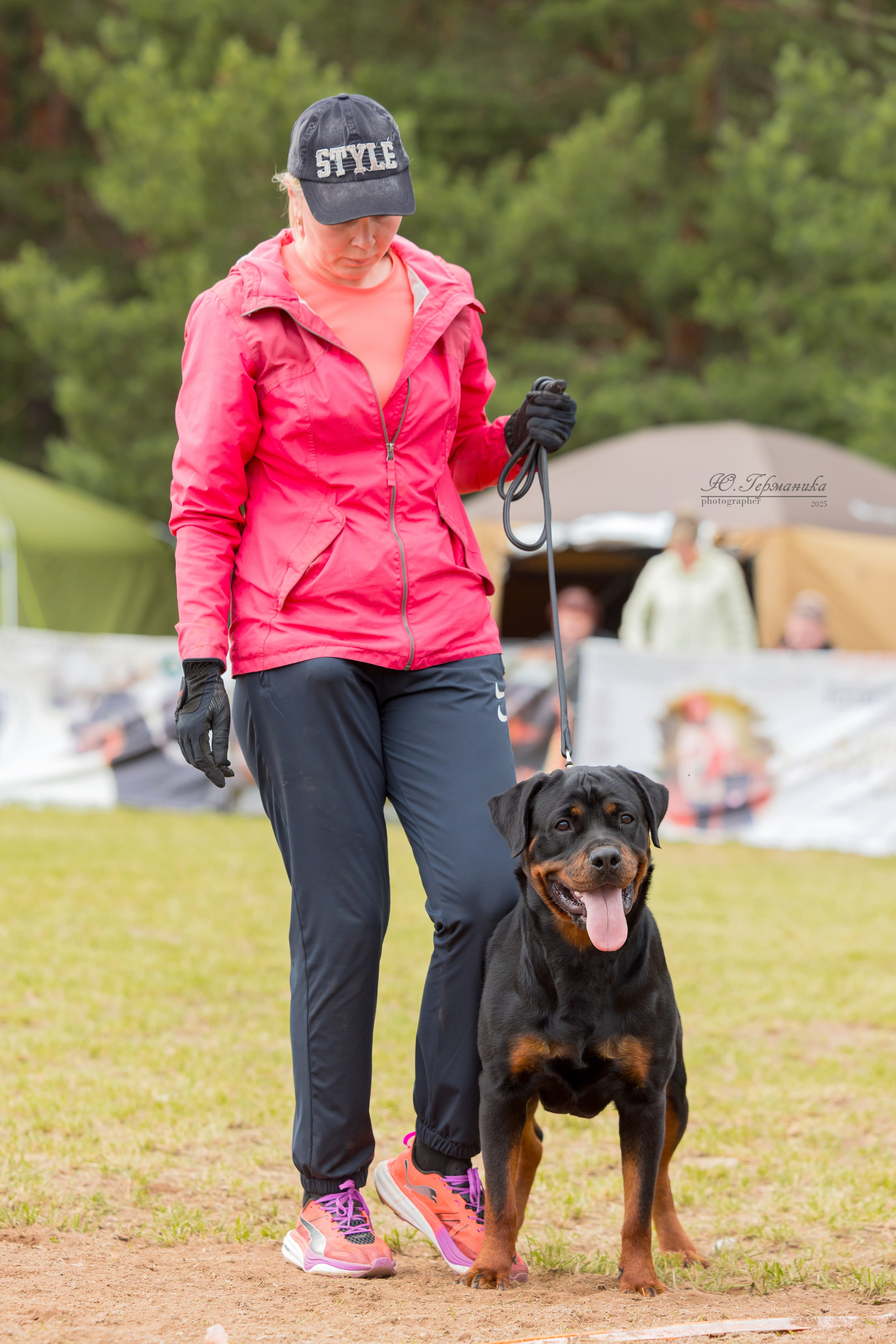 Тверь ротвейлеры 5-6.07.2025. Фотограф-анималист Юлия Германика