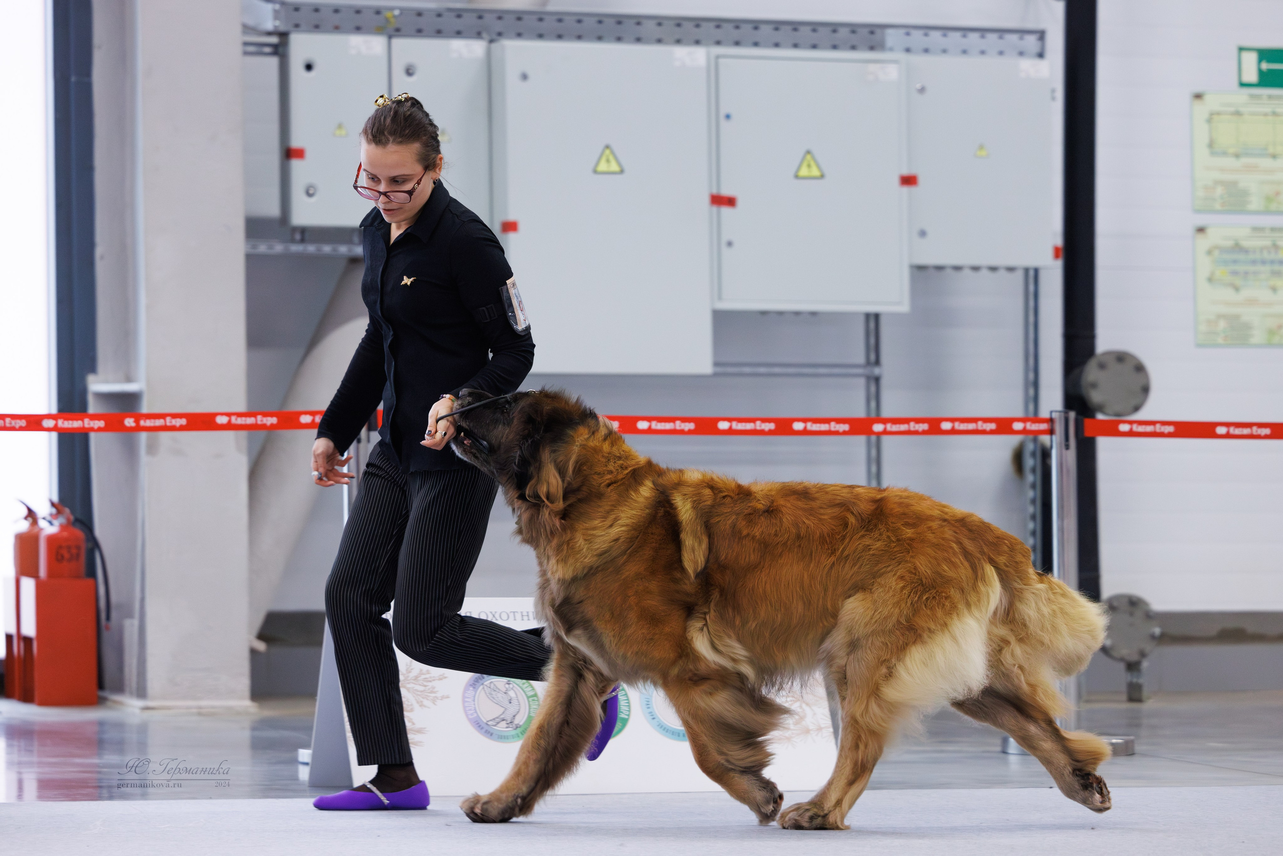 Казань Зилант 30-01.12 2024. Фотограф-анималист Юлия Германика