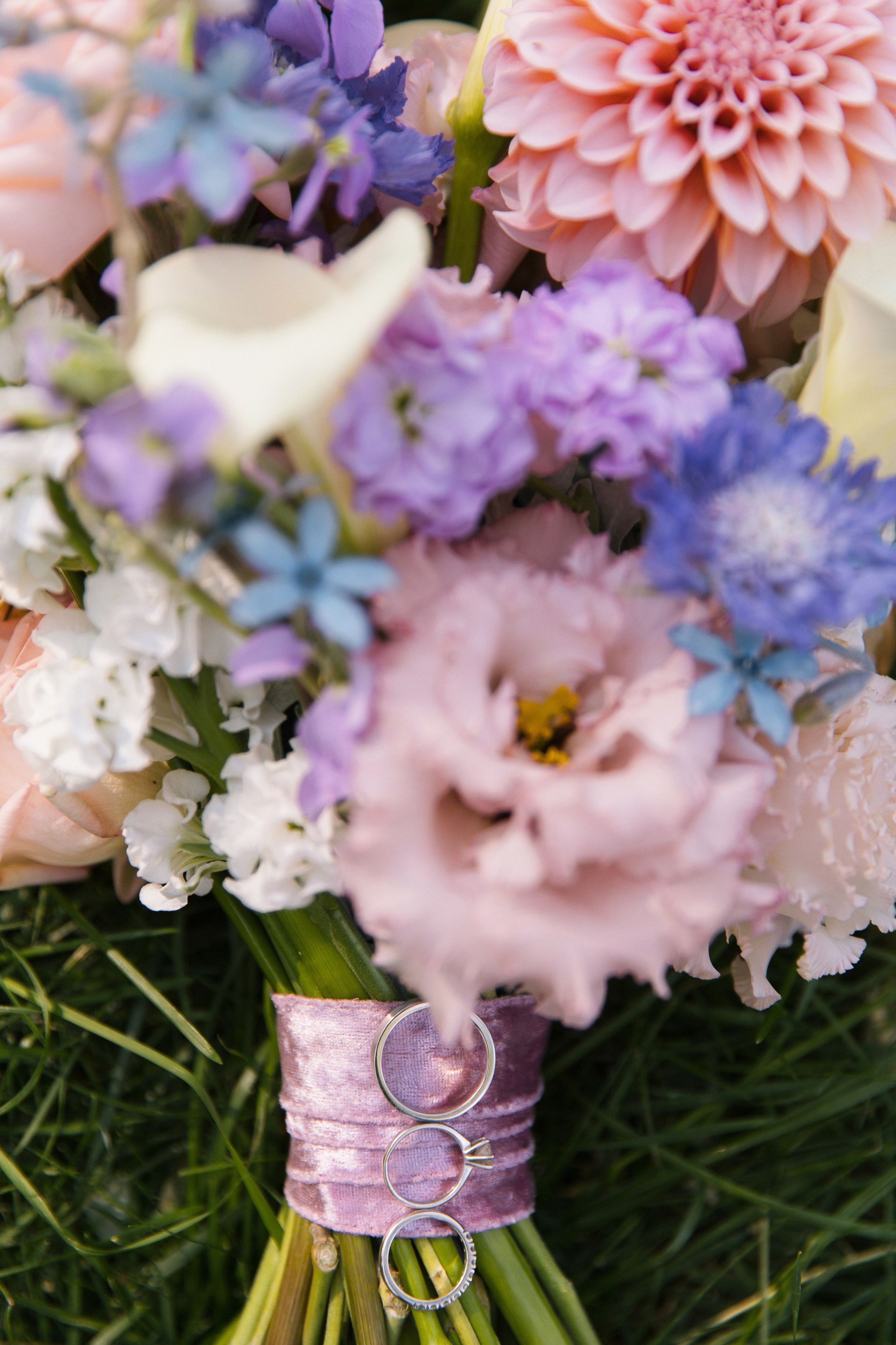 V ❤ A. Syrovatkina_Photographer.ru