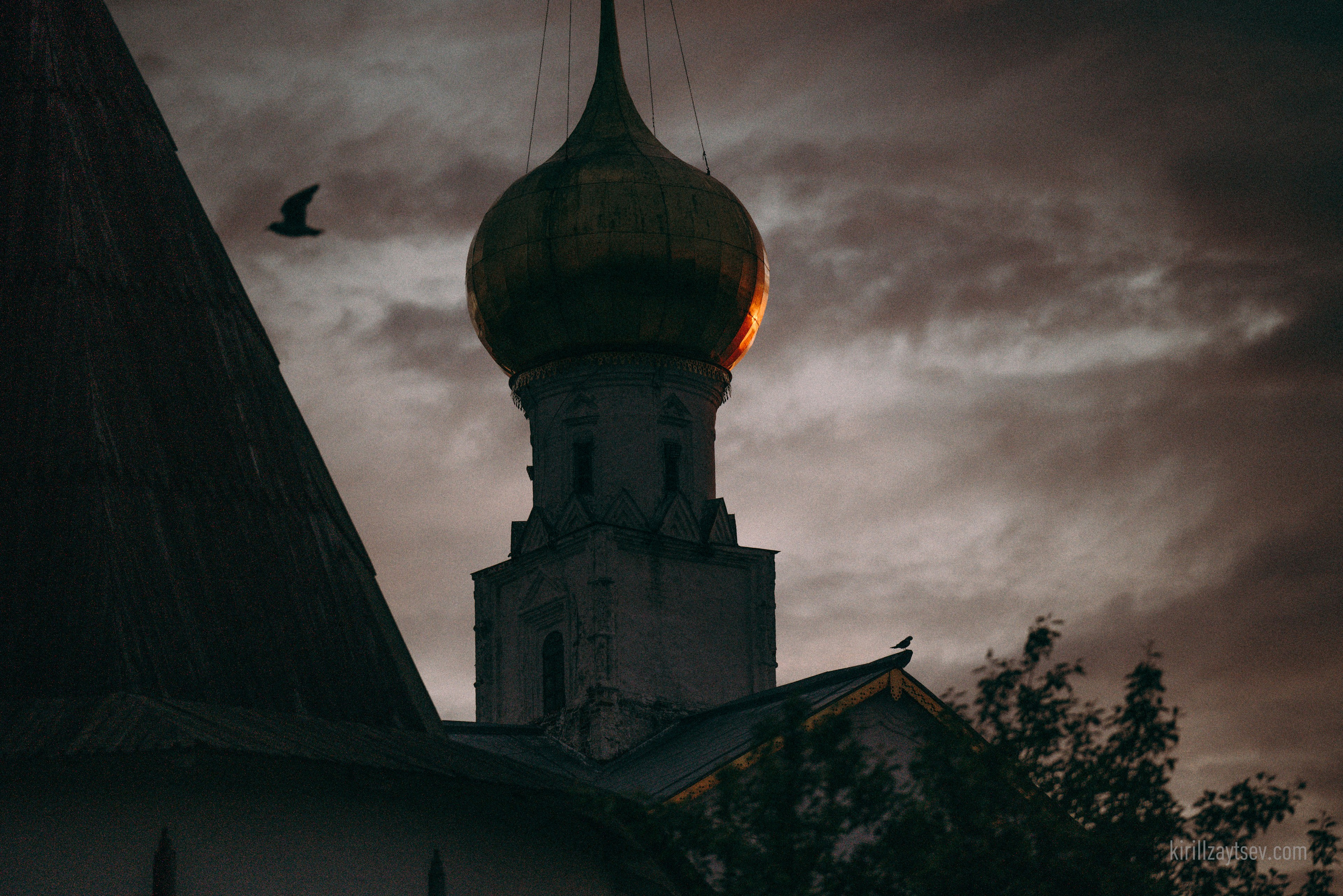 Жизнь. Профессиональный фотограф Кирилл Зайцев