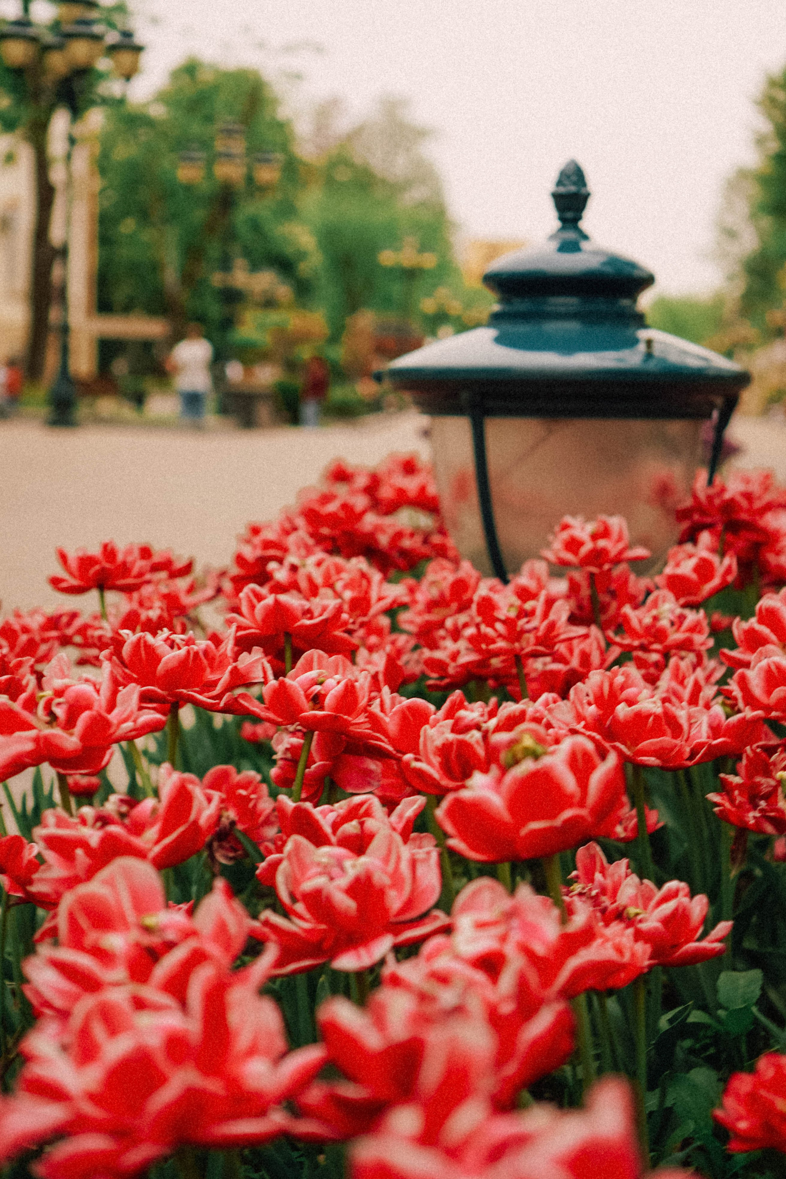 КИСЛОВОДСК. Профессиональный фотограф, Санкт-Петербург — Виктория Богомолова