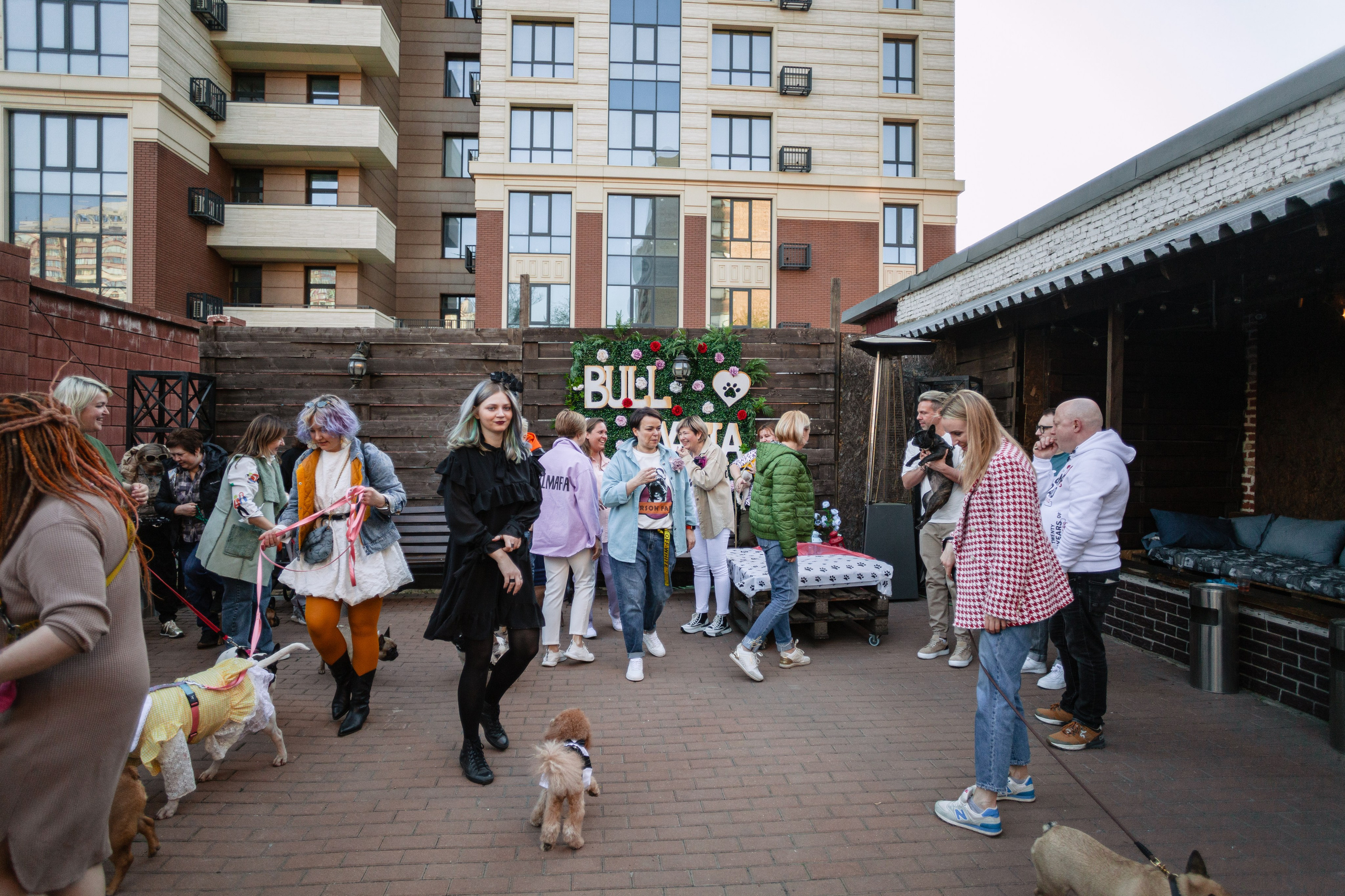 Бульбалл 23.04.2023. Фотограф-анималист Татьяна Степанова