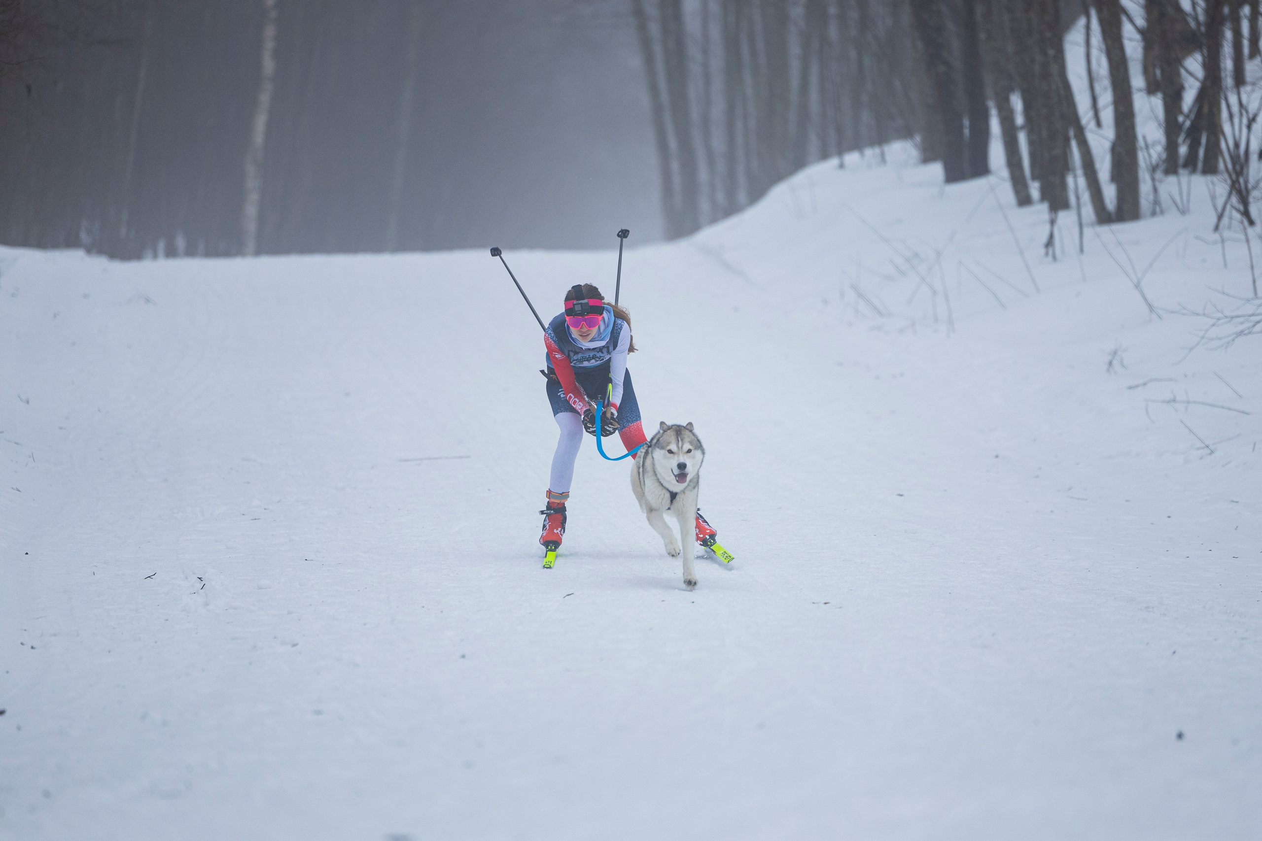 Зимний Чемпионат Санкт-Петербурга по ездовому спорту. Фотограф-анималист Анна Маринич