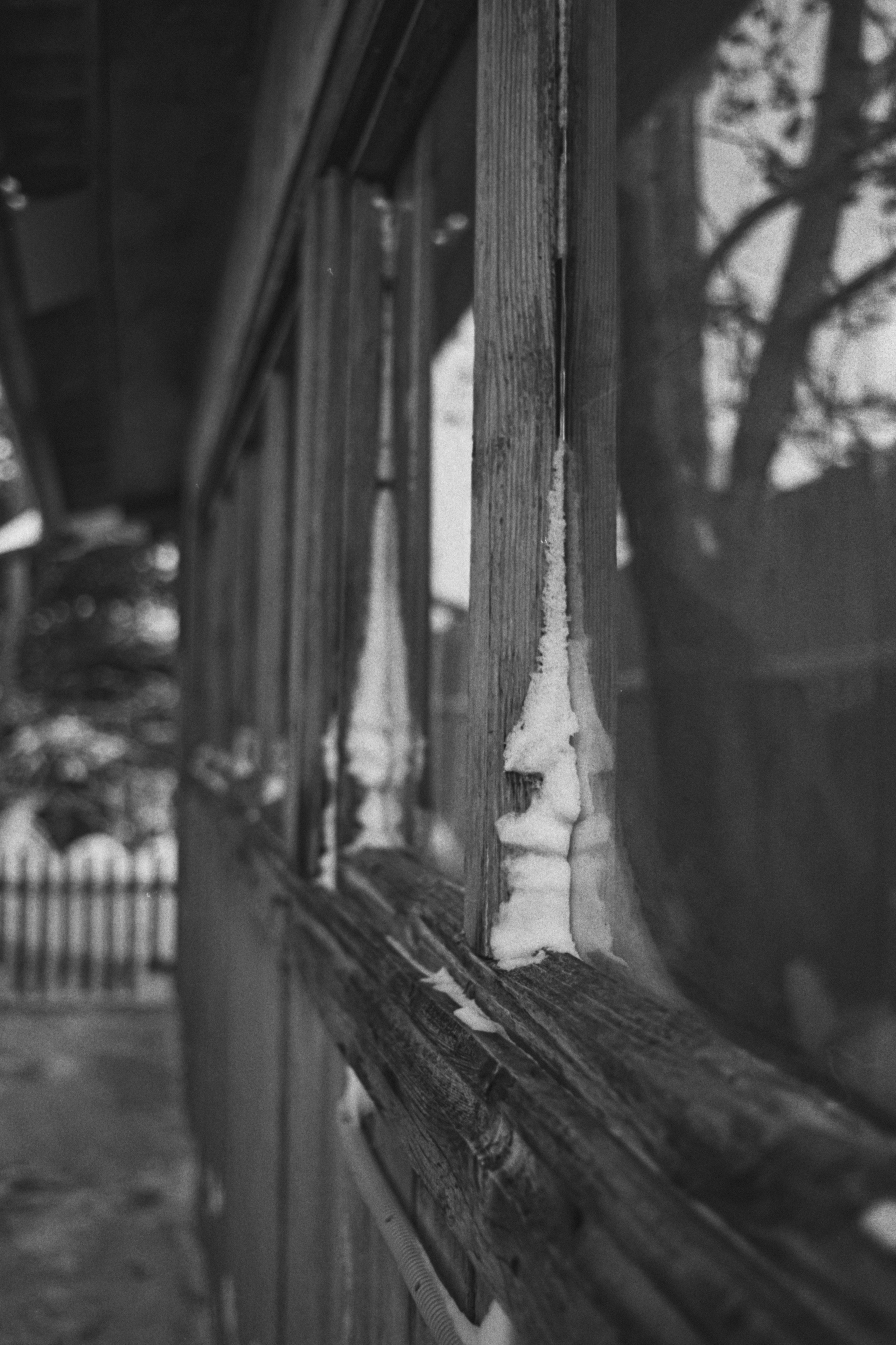 Пленочная история. Дмитрий Пропадалин, Нейрофотография