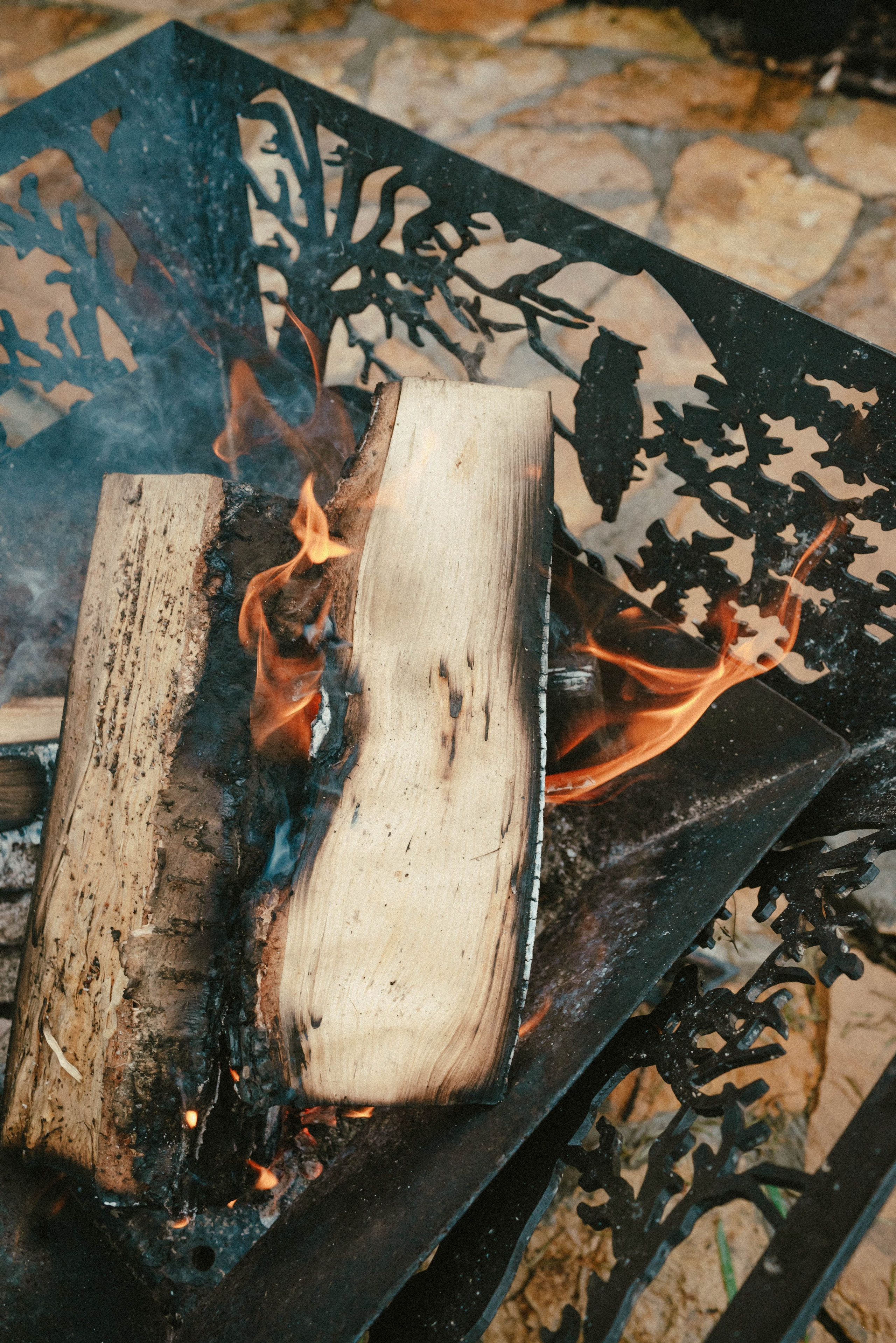 Лесное царство Оксаны. Свадебный и семейный фотограф в Новосибирске, Санкт-Петербурге, Москве