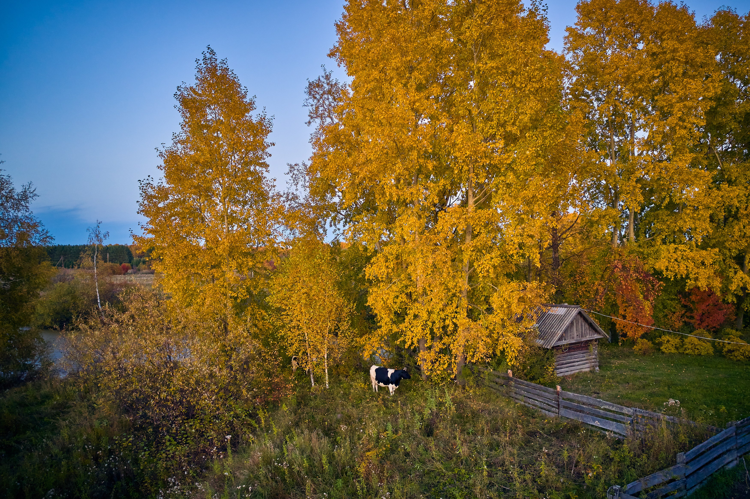 Фото с птичьего полета. DMITRY MOISEENKO — фотограф, художник, топ-стилист