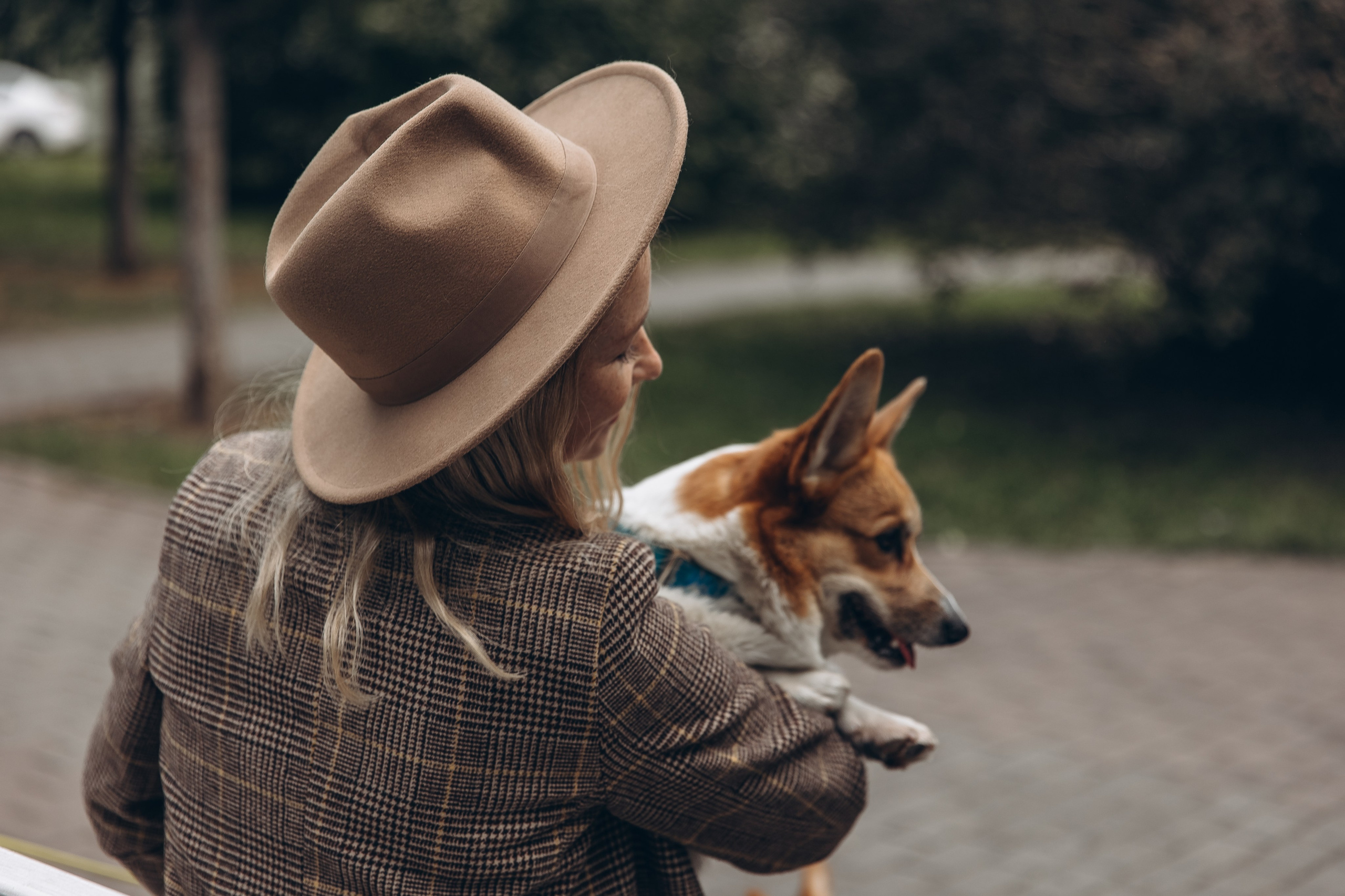 «Королевский Корги» 2. Фотограф Алина Ионычева в Новосибирске