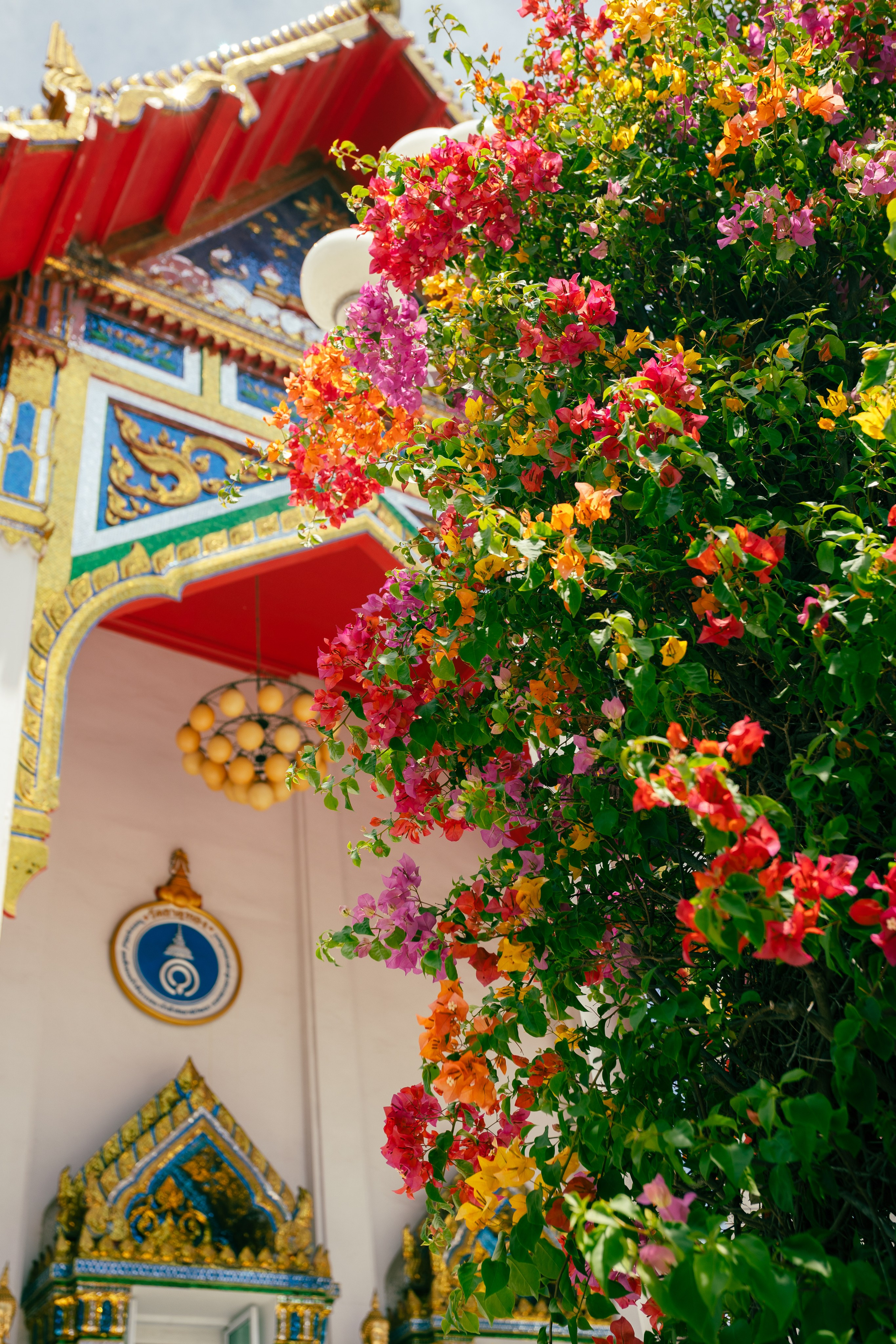 Bangkok. Фотограф Сонкина Татьяна