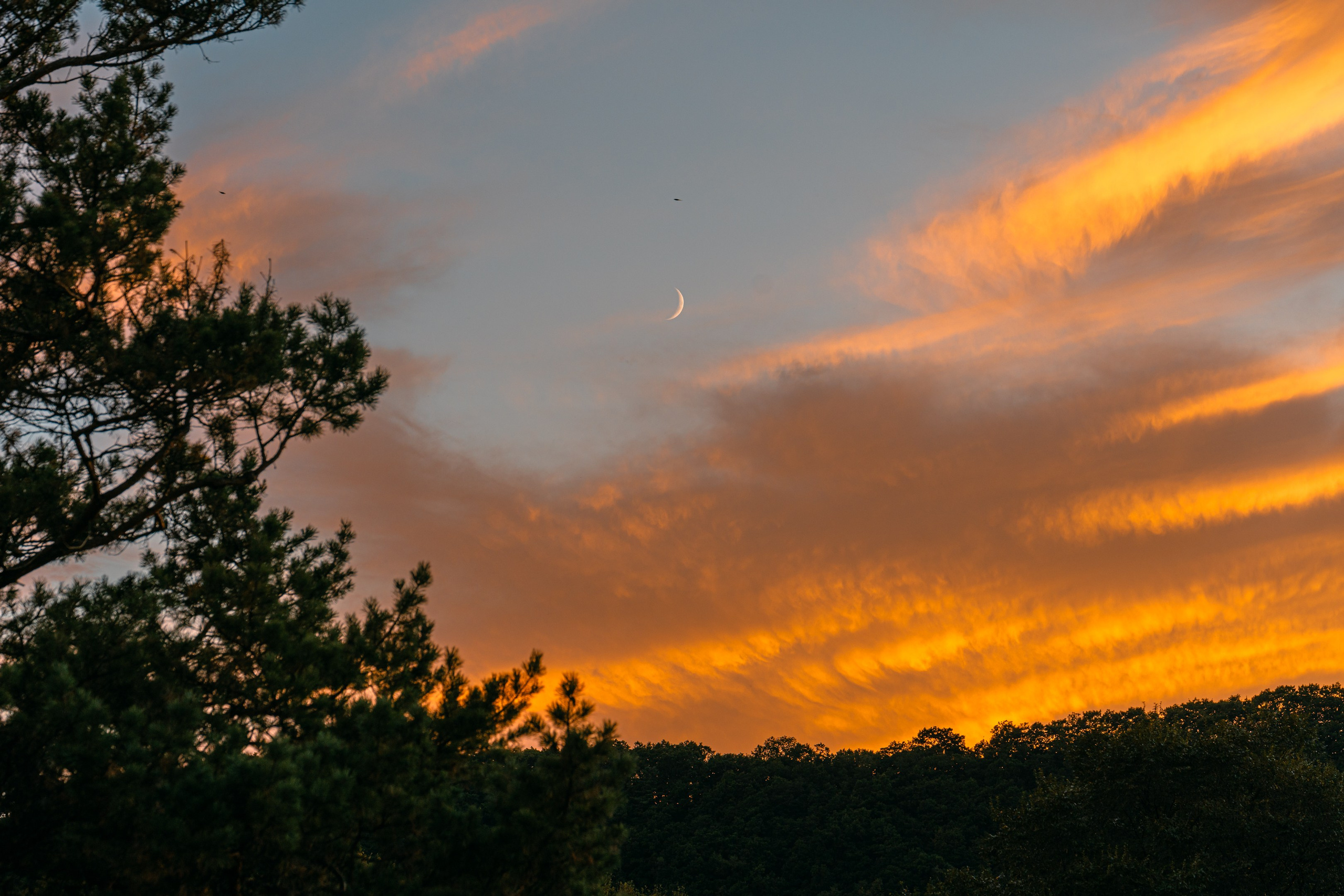 Майхинское хозяйство. Иван Зайцев (IZIART) — создание культурного кода через фото и видео