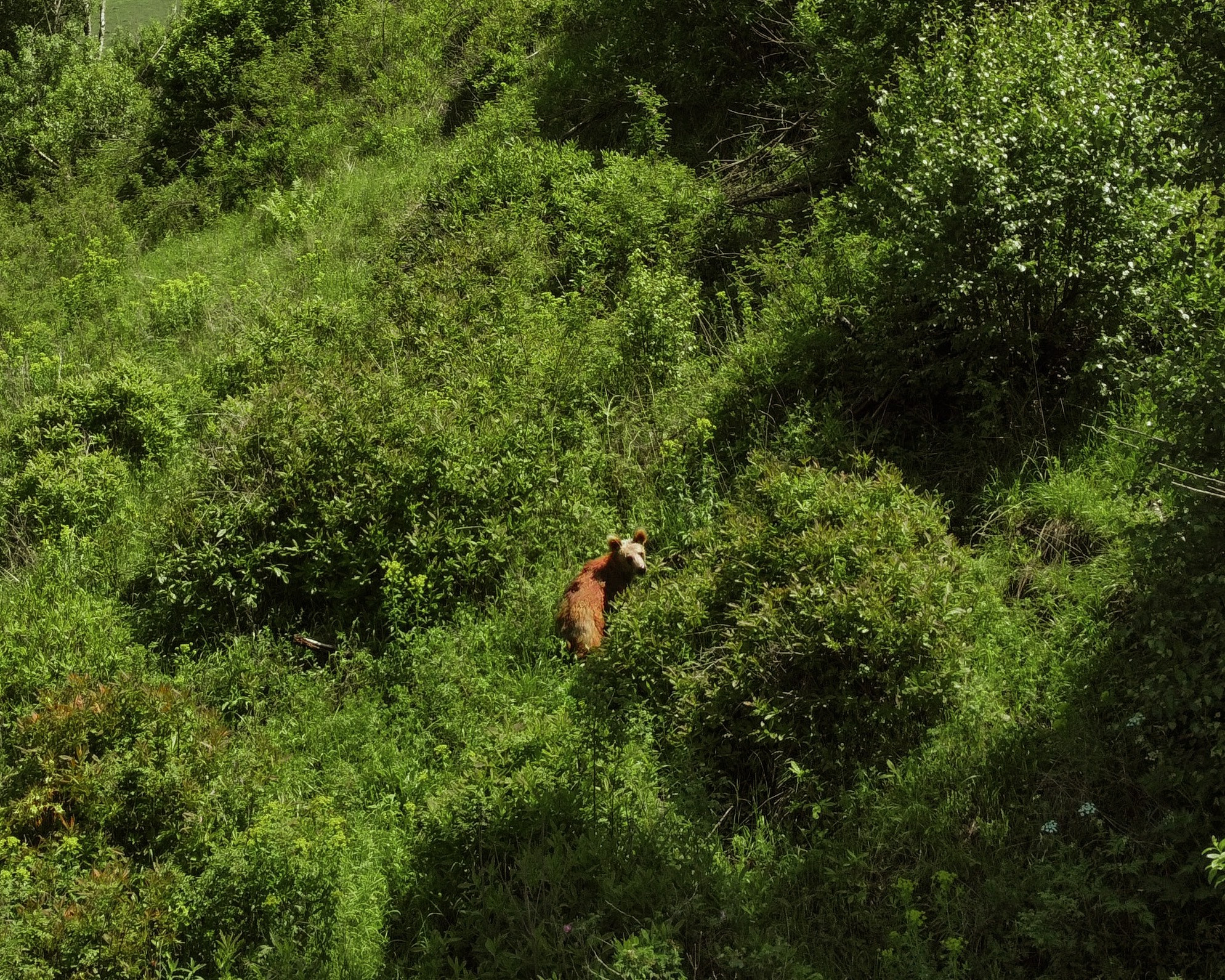 ВЗГЛЯД СВЕРХУ